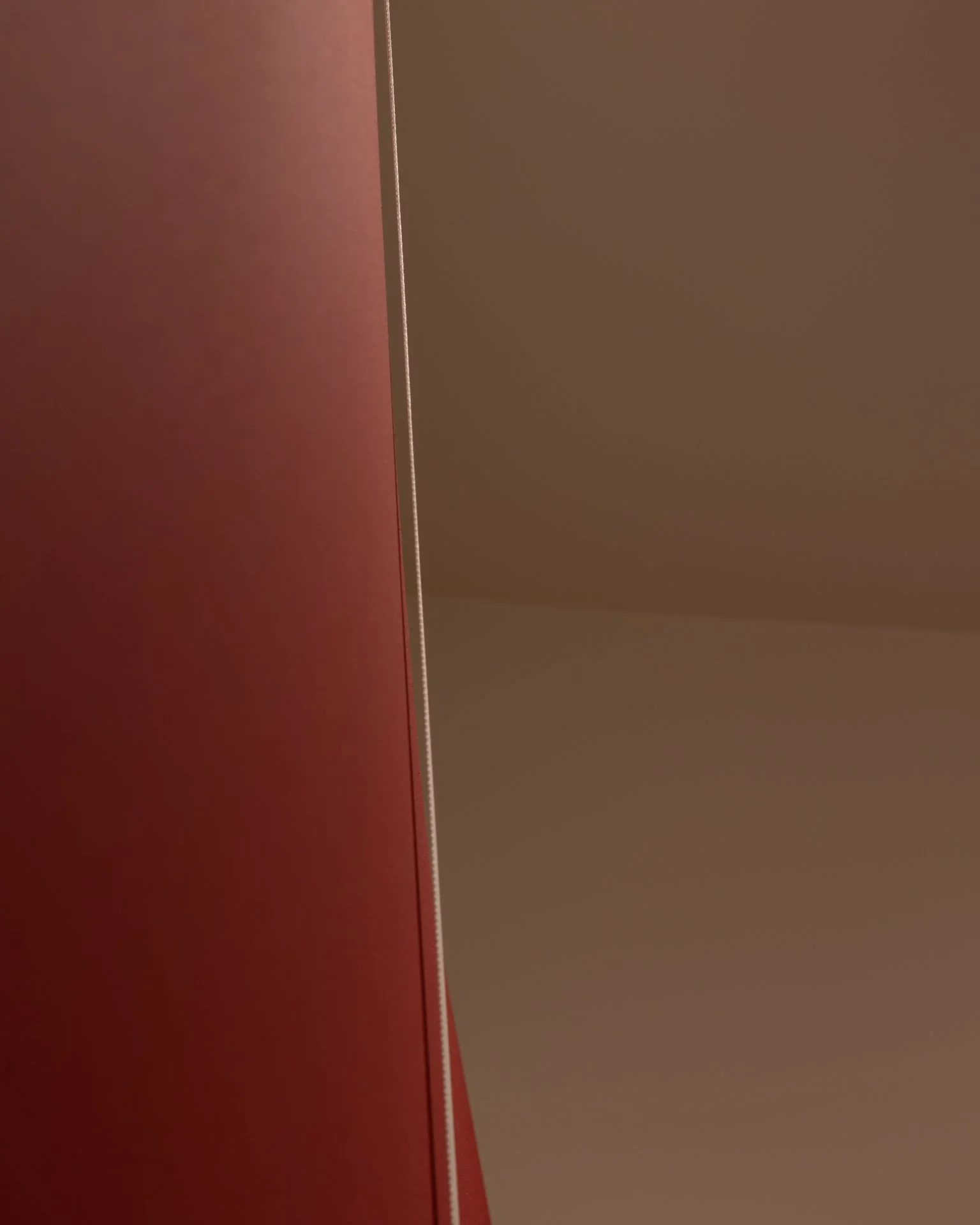 _D1A9784_1.jpg