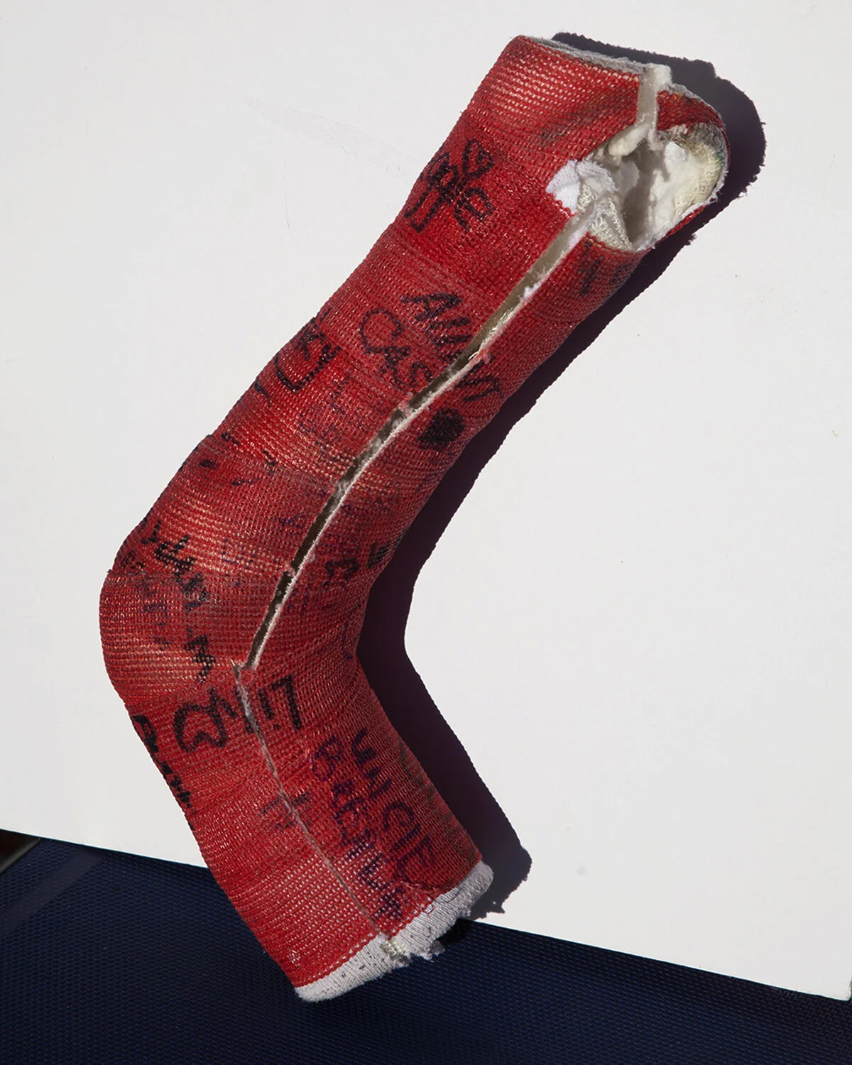 That Shadow, My Likeness