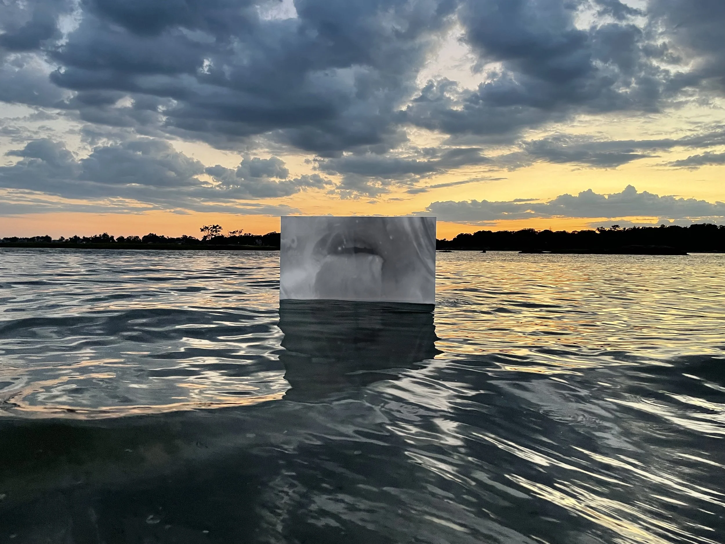 SOS Exhibition at Fish Island Gallery