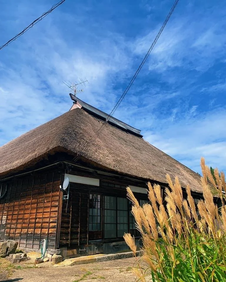 Harumisou - A1B3DF11-48D1-4C15-963E-1A319FEC9D3E.jpeg