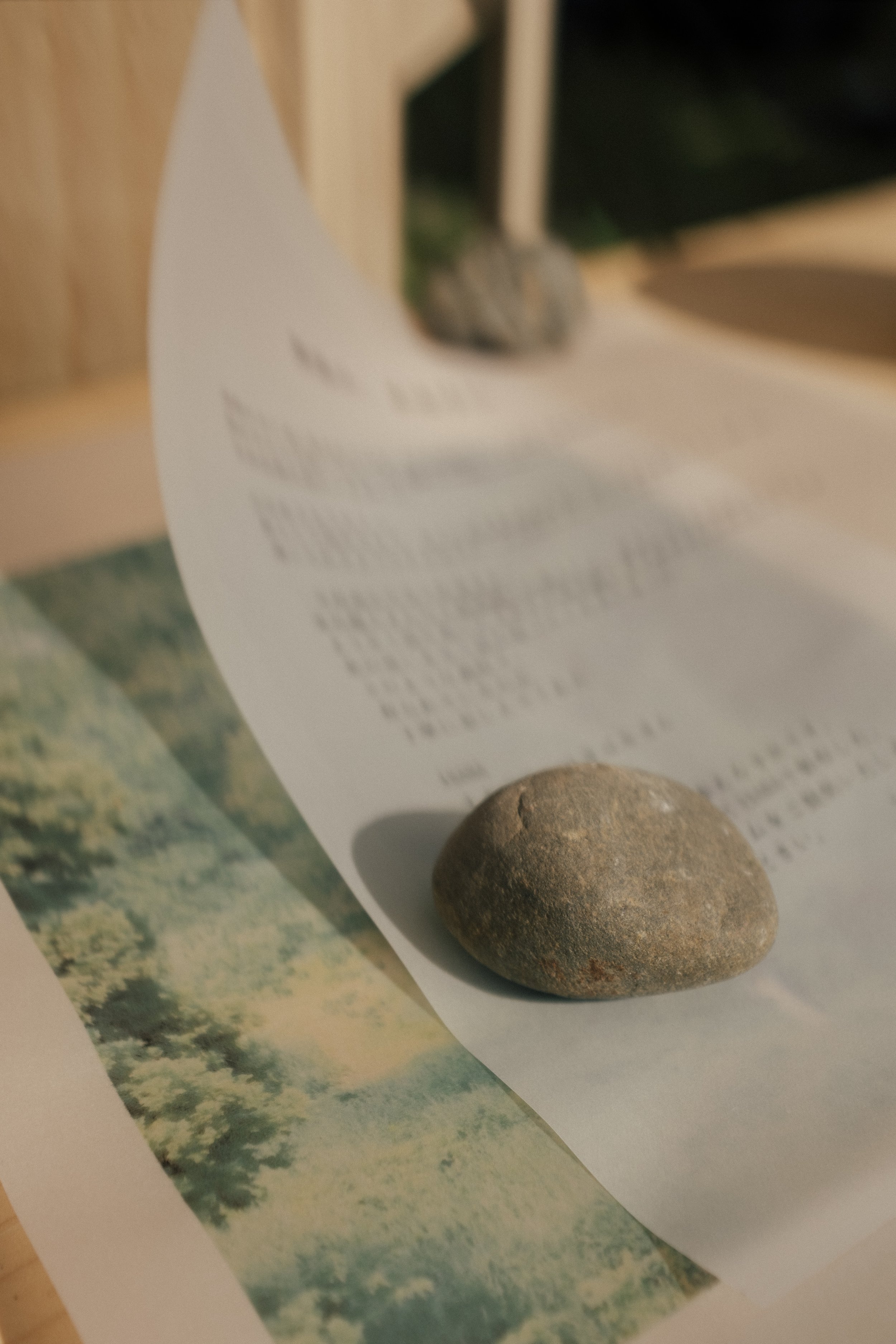 DSCF2061.jpg