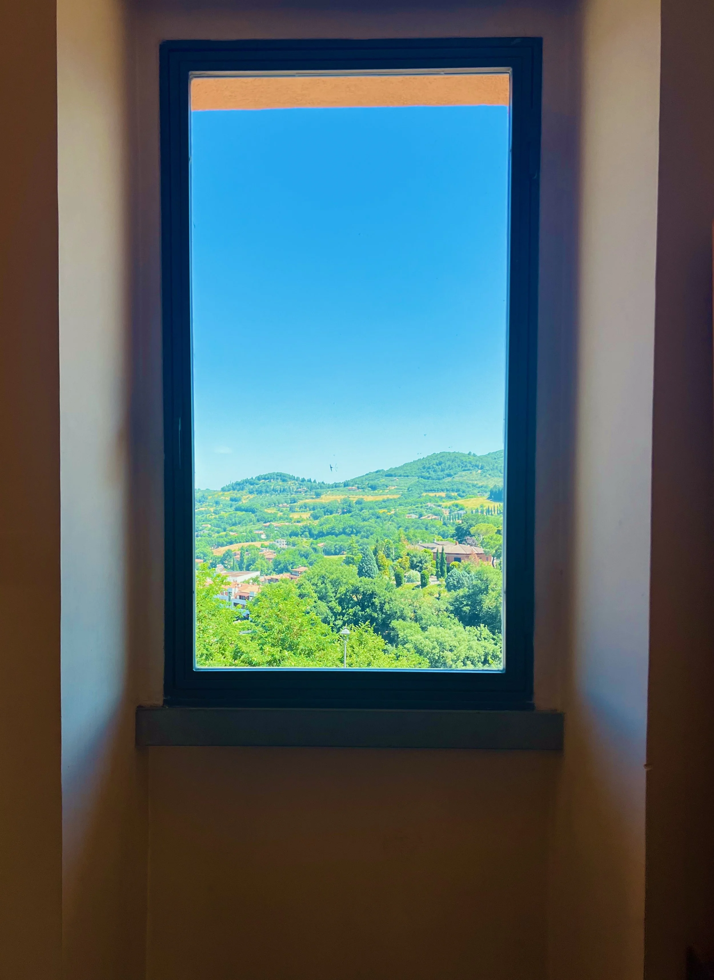 Tuscan Window
