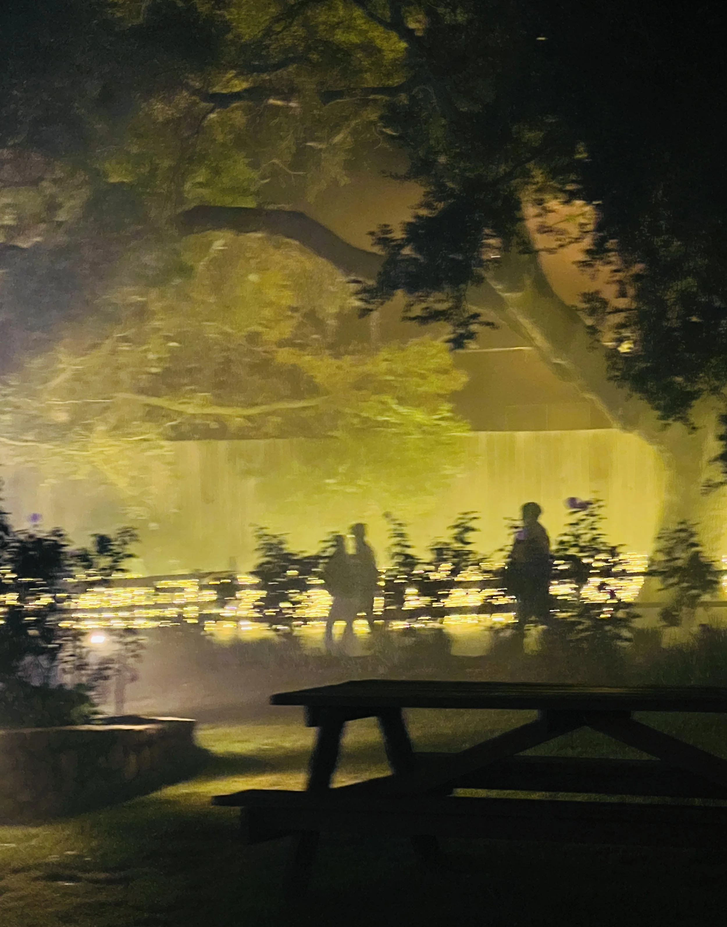 Night Walkers