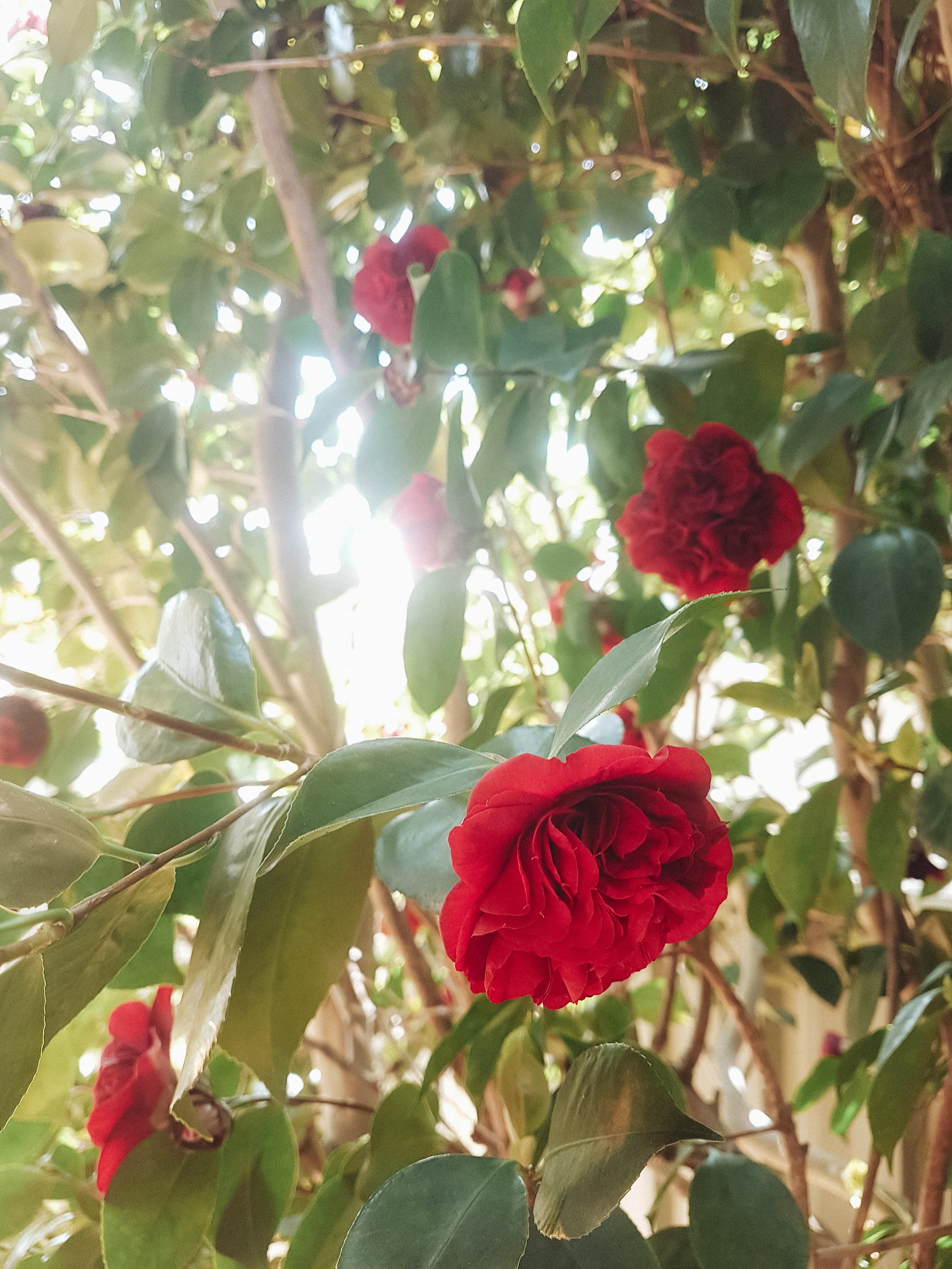 20201008_132404.jpg
