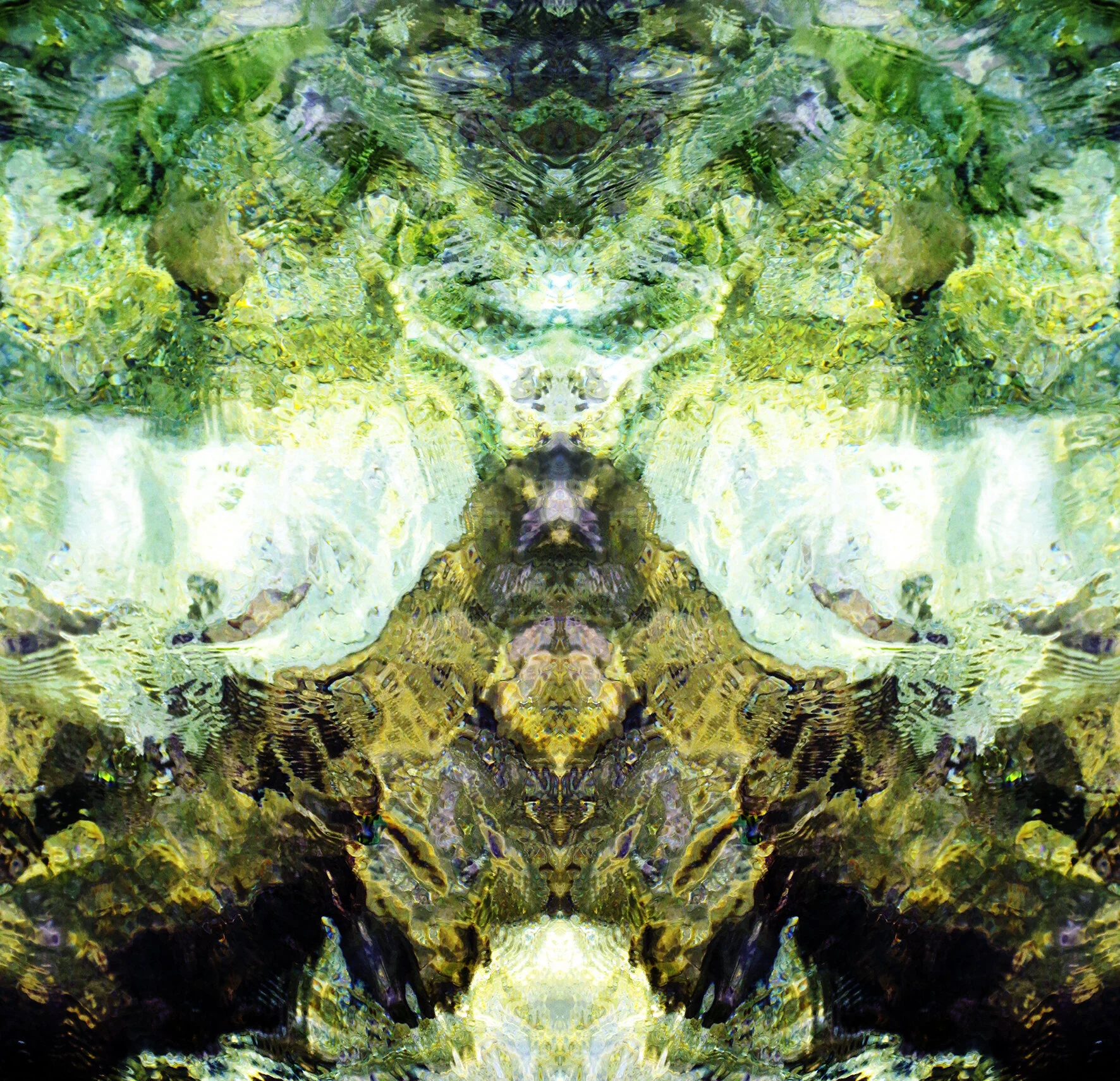 Reptilian regaliaIMG_5387 .jpg