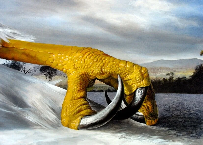 Claw