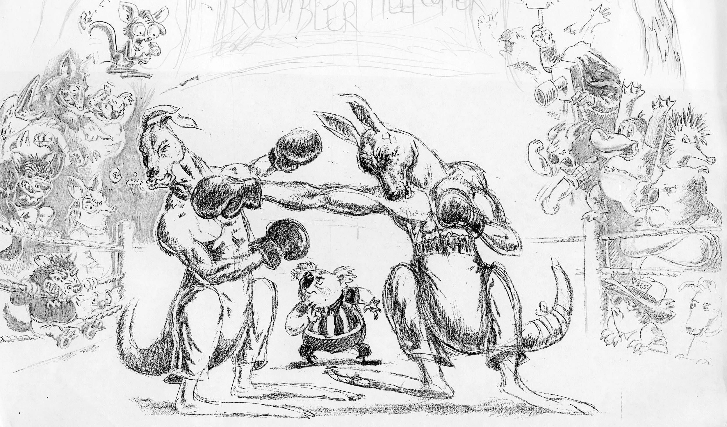 boxing kangaroos.jpg