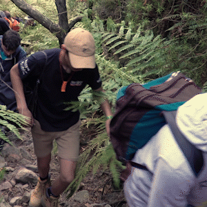 giff test copy 4.gif