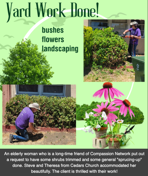 Sprucing up the Yard!