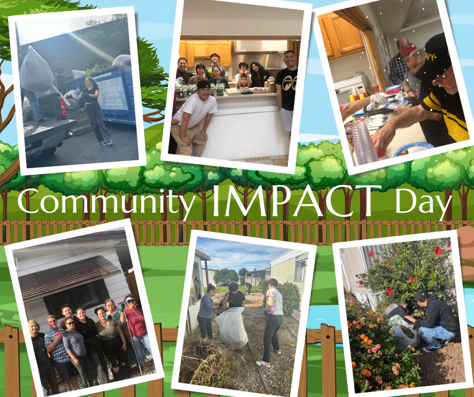 Community Impact Day