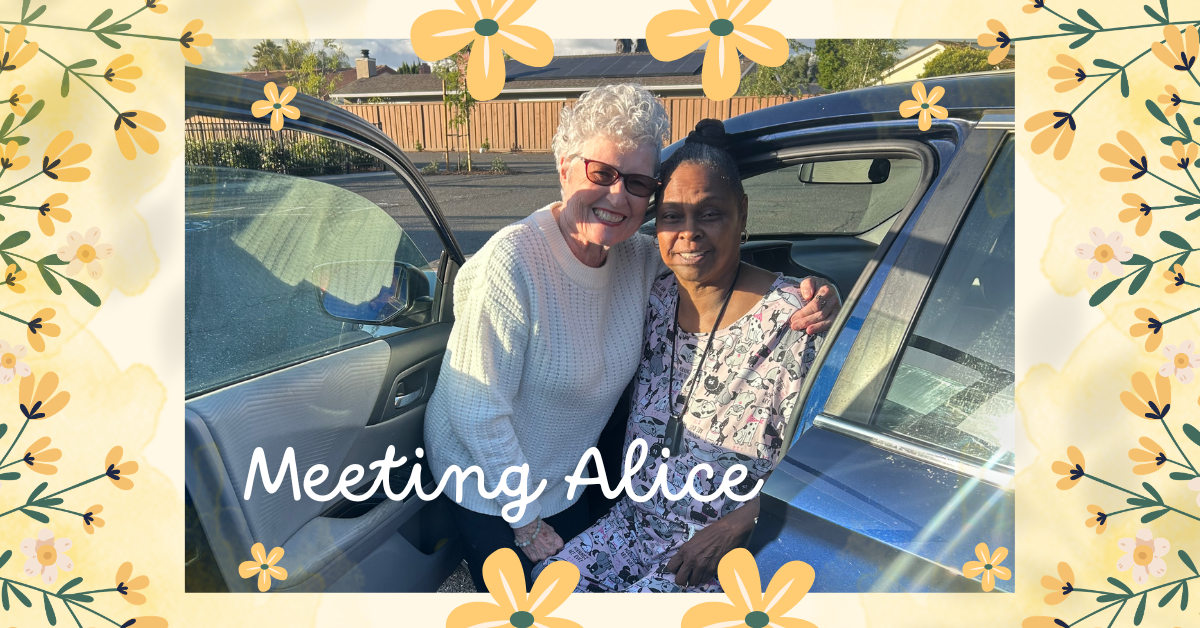 Meeting Alice