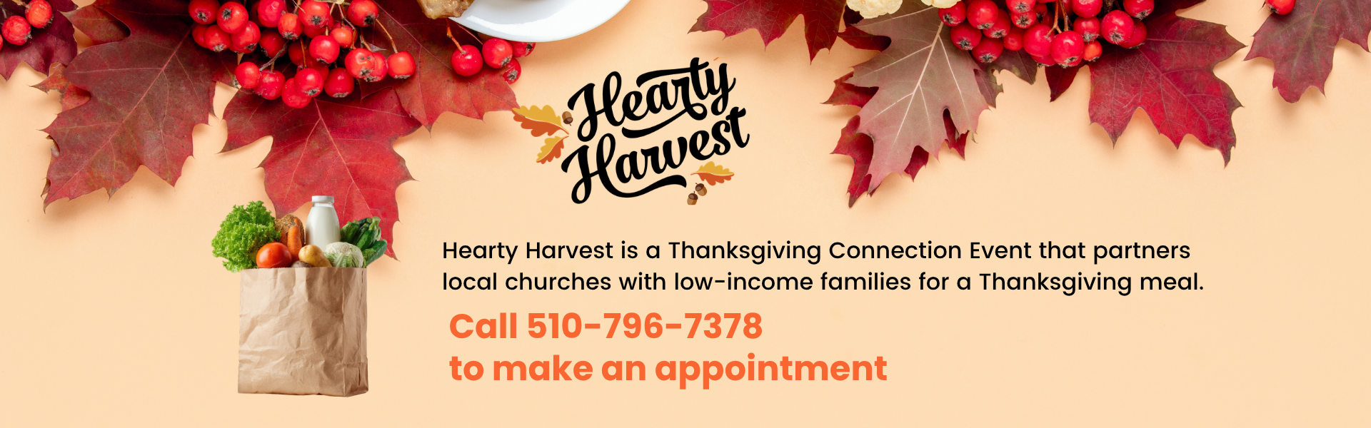Thanksgiving-themed flyer with a cartoon turkey wearing a pilgrim hat, autumn leaves, and the text promoting Thanksgiving meal assistance from Compassion Network.