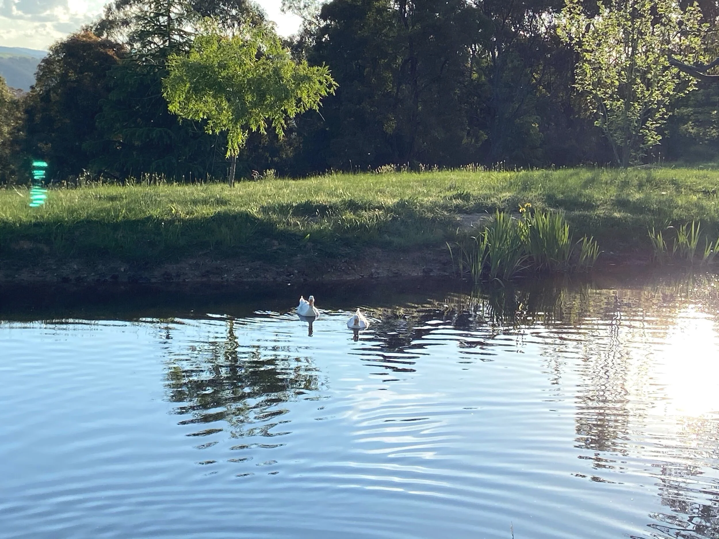Serenity on the front dam