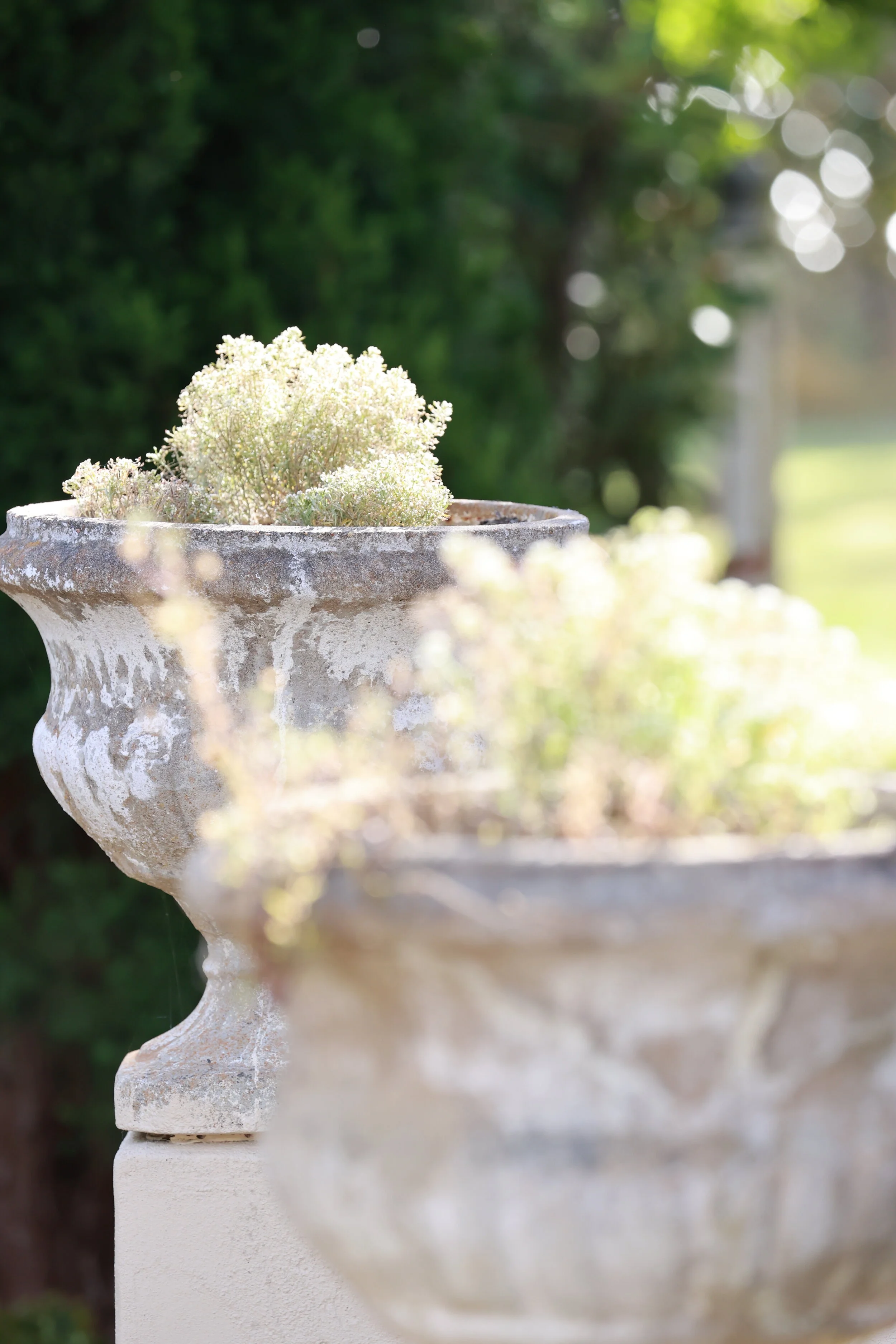 Hartley House, a slice of Europe in the Blue Mountains
