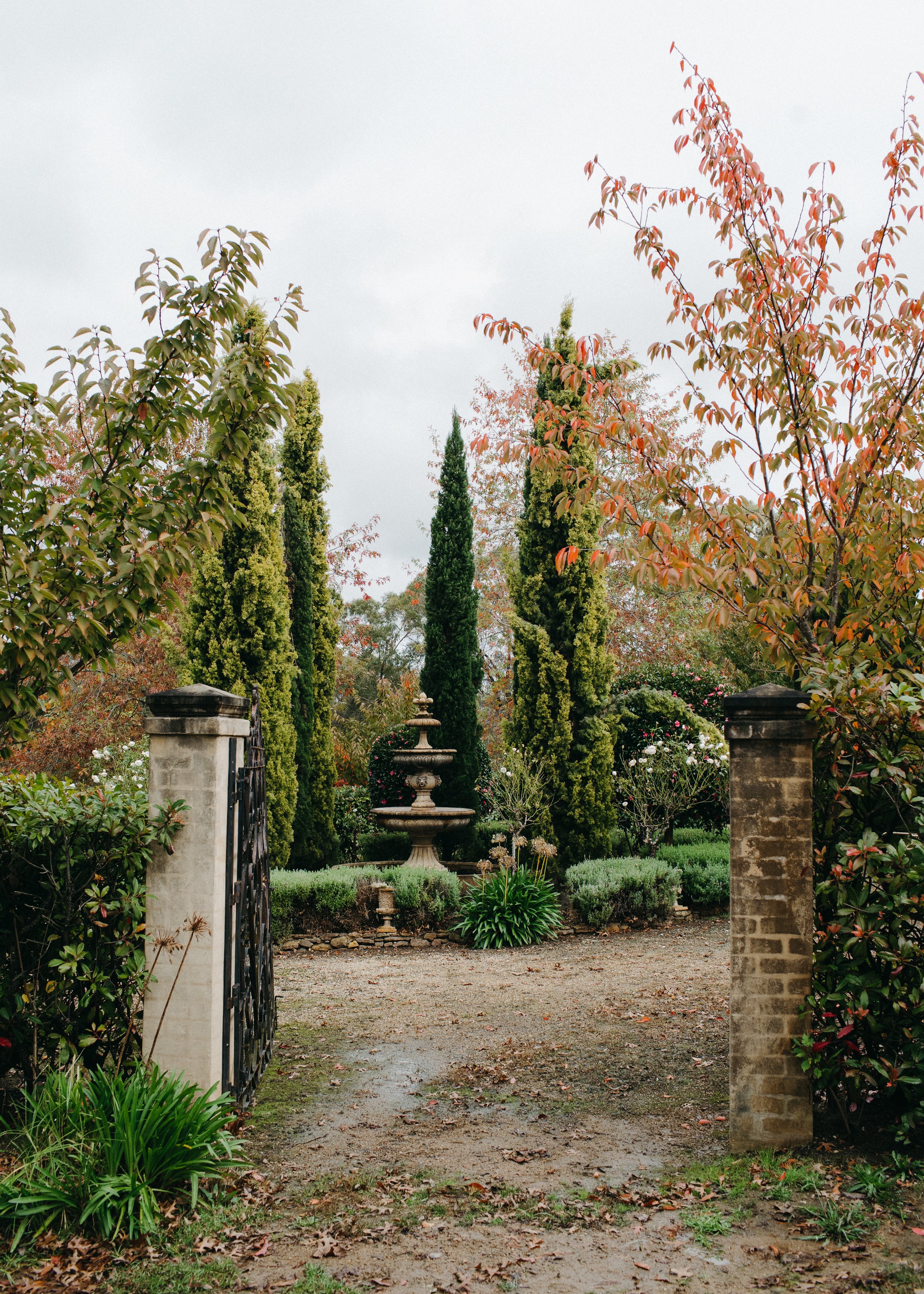 Autumn at the front garden