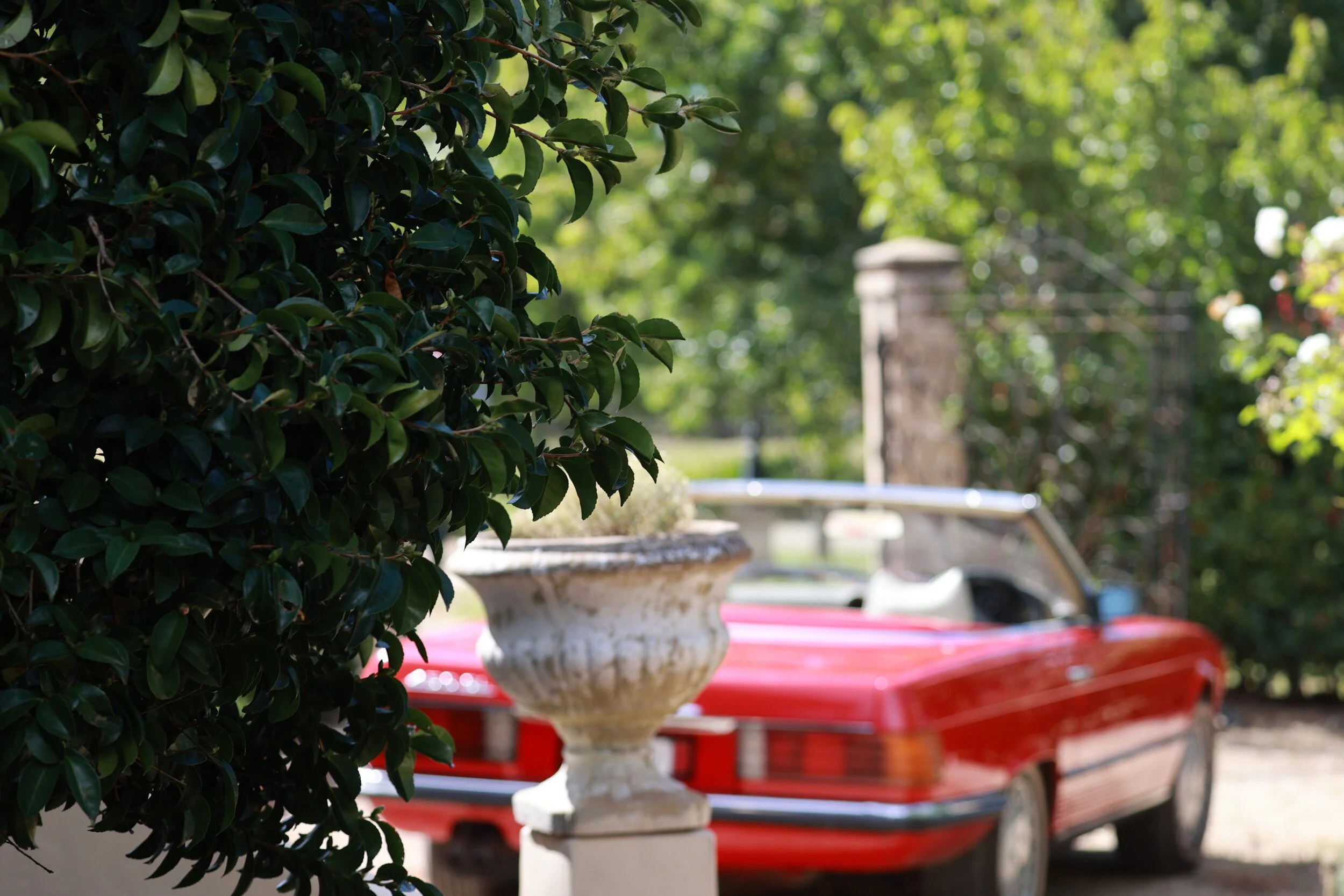 The rose filled circular driveway, a stunning photo spot