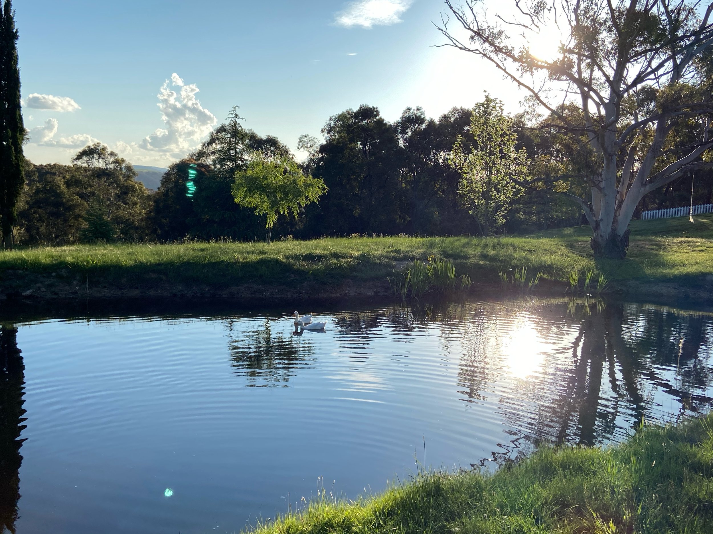 View over the front dam