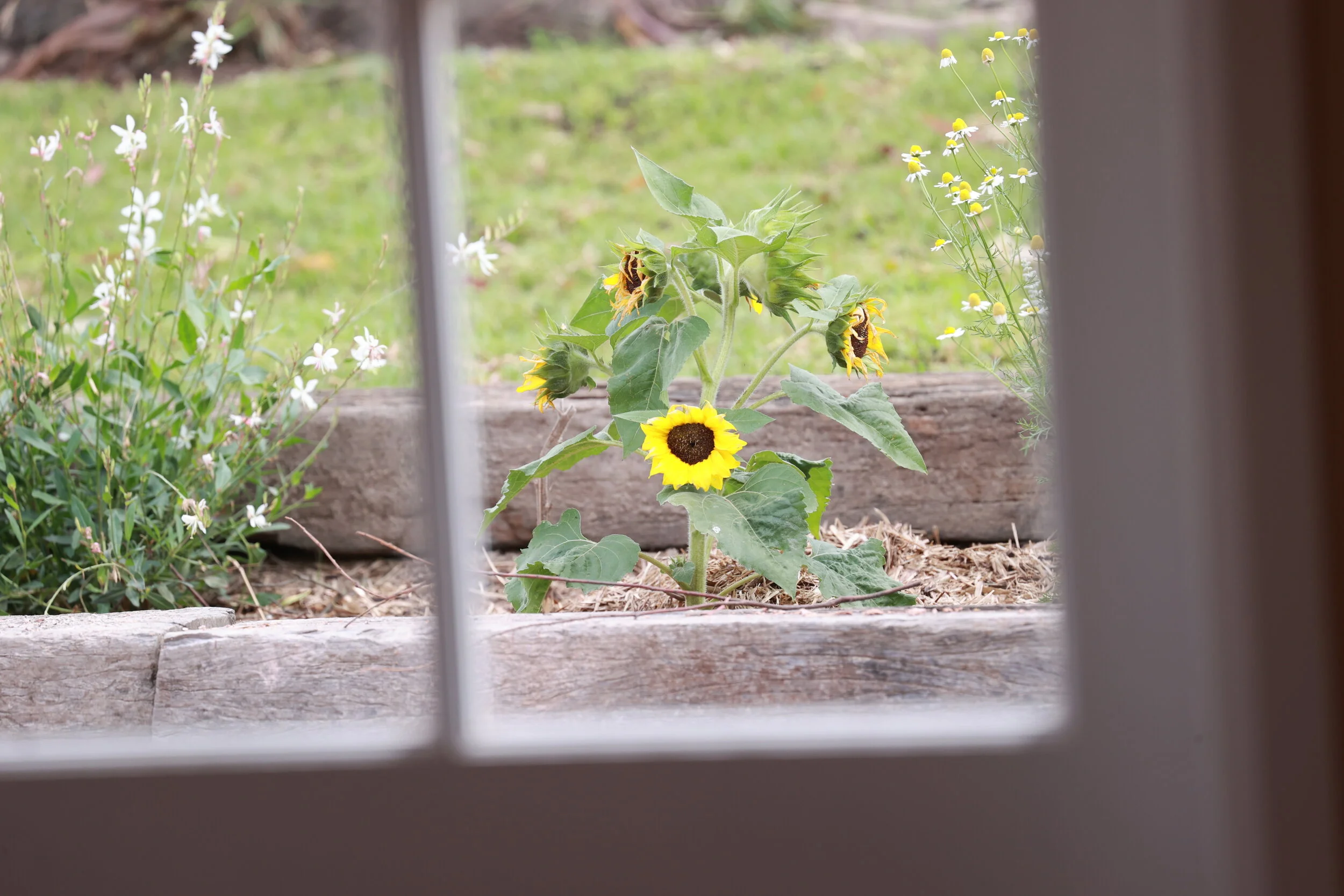Beautiful gardens surround the property