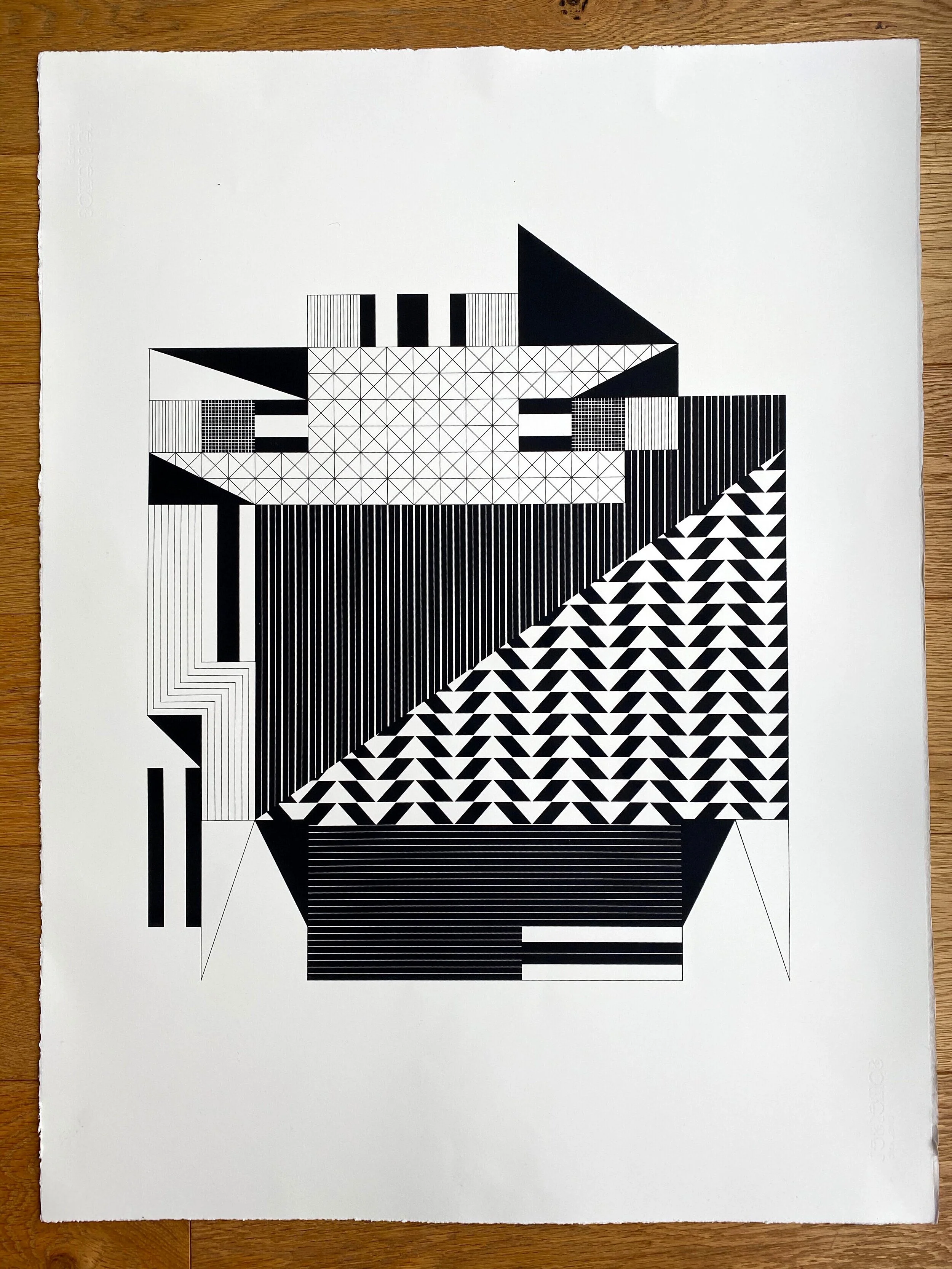 Budgie, 76x57cm screen print on Somerset 300gsm, 2020