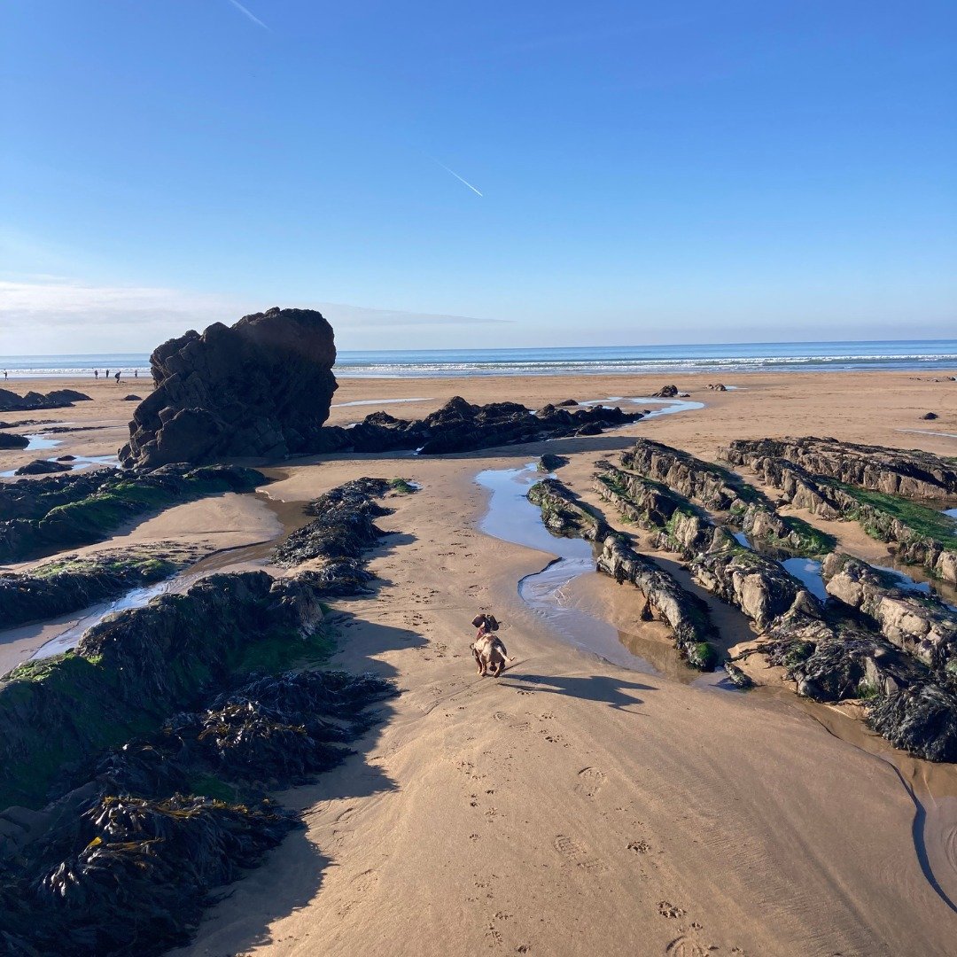 What a week - Tailoring each day to the tide! ☀️🌊
Nala and I have thoroughly enjoyed our beach strolls in between client work; a welcome break from the desk and lots of training for my little lady 💕
I hope you've been able to make the most of it to