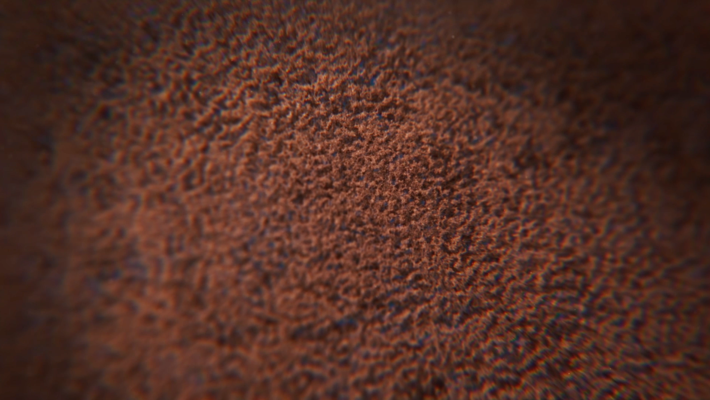 Screenshot 2024-08-20 at 15.36.29.png