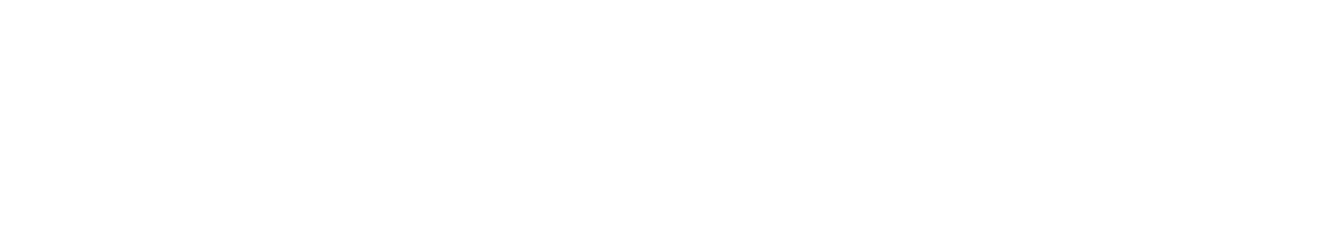 The Point