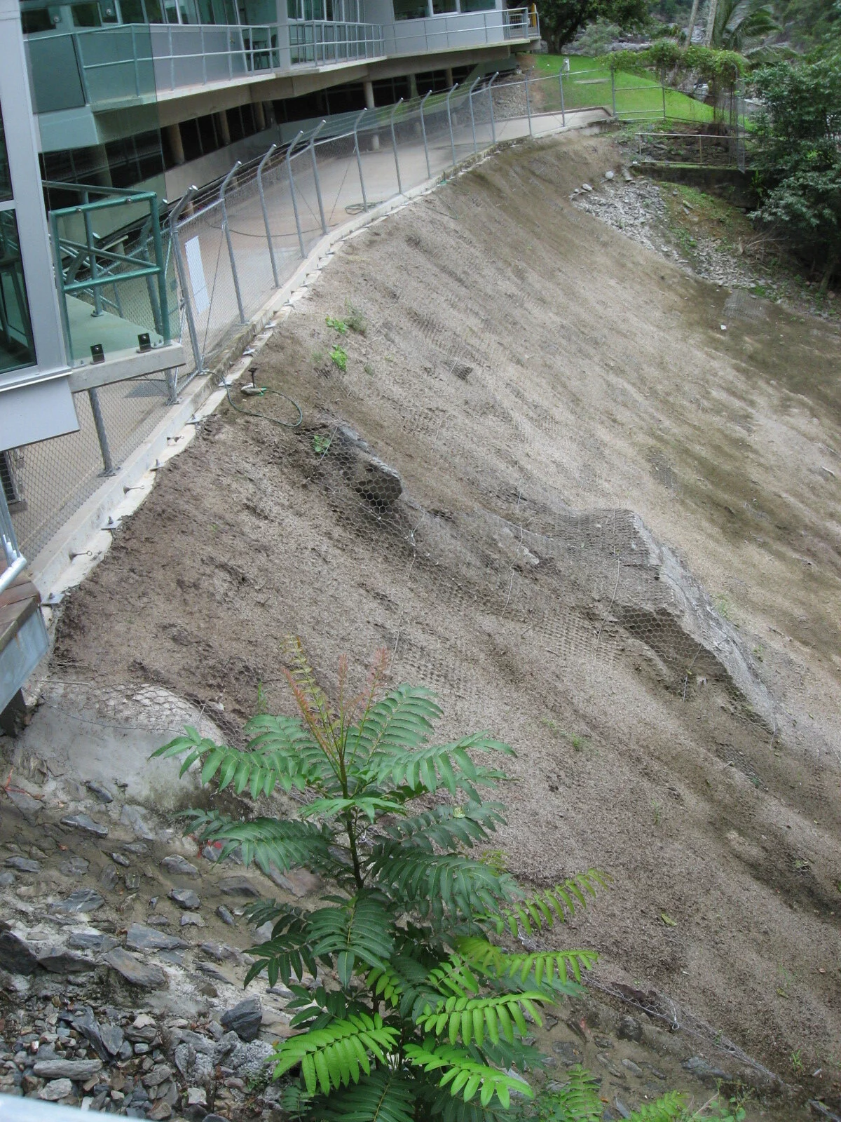 CCC Barron Gorge 020.jpg