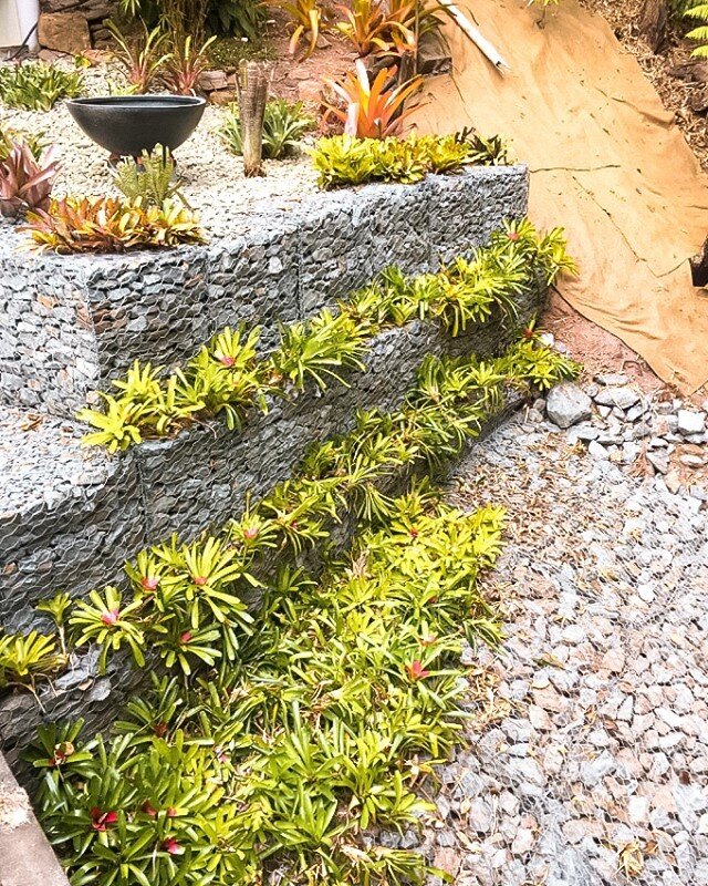 Sometimes we like to get our hands dirty in the garden (well, we get someone else to do it) 🌼⠀⠀⠀⠀⠀⠀⠀⠀⠀
&bull;⠀⠀⠀⠀⠀⠀⠀⠀⠀
&bull;⠀⠀⠀⠀⠀⠀⠀⠀⠀
&bull;⠀⠀⠀⠀⠀⠀⠀⠀⠀
&bull;⠀⠀⠀⠀⠀⠀⠀⠀⠀
⠀⠀⠀⠀⠀⠀⠀⠀⠀
#architecture #design #designer #tropical #luxurydesign #luxuryhomes #re