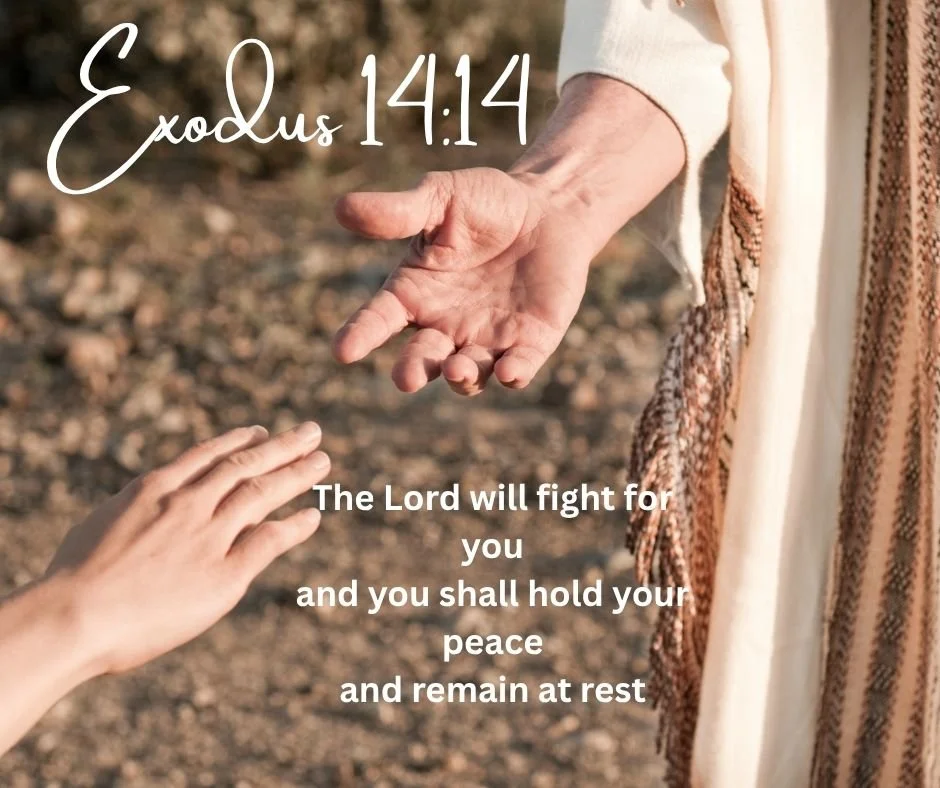 A person extending their hand downward towards another person's hand in a gentle gesture, outdoors on a rocky surface. Our latest Blog -  'Exodus 14:14'  a Bible verse about God's promise to fight for and give peace to his followers.