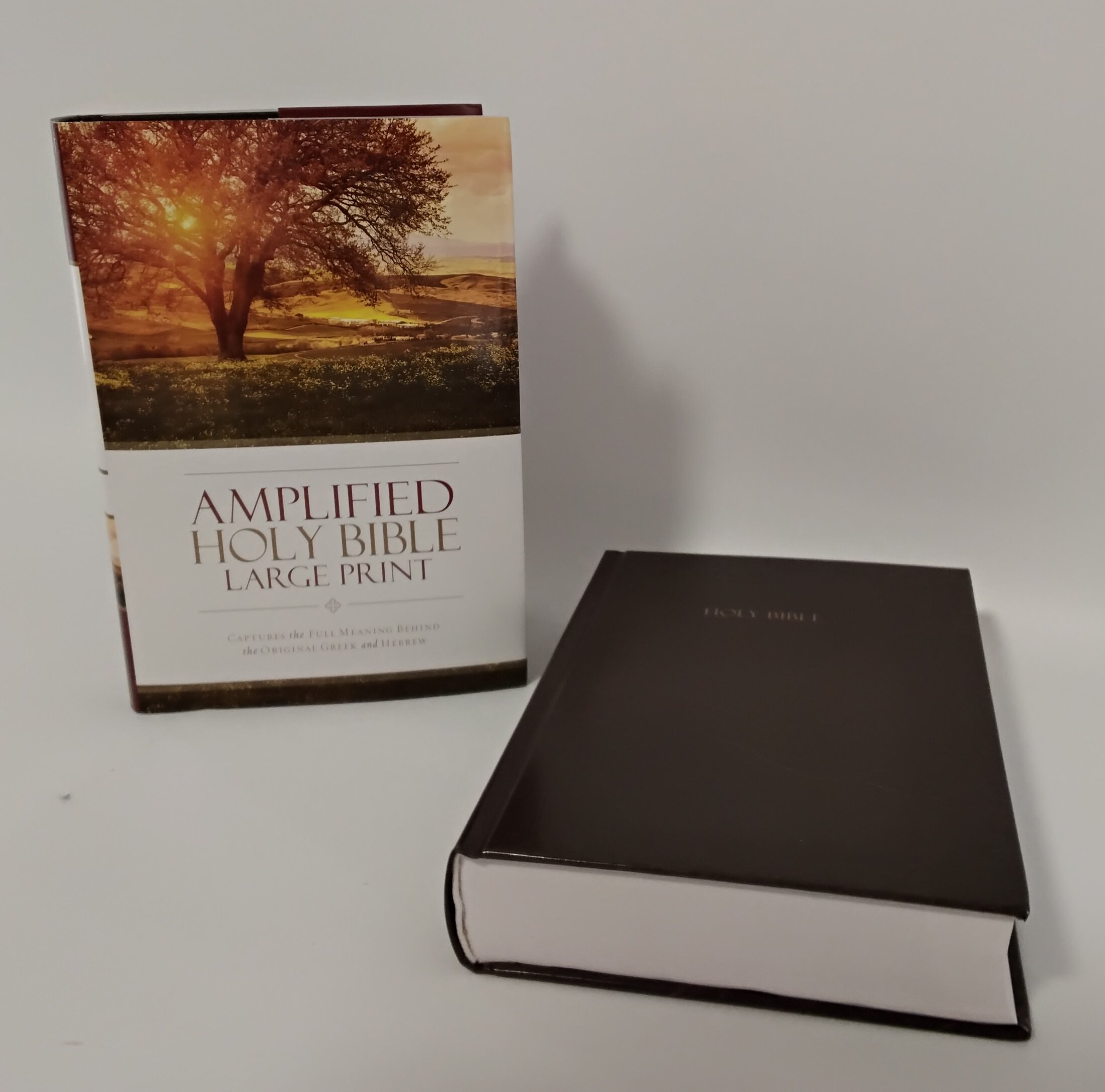 If you are looking for a full and clear explanation of the verses in the bible. Then the Amplified Holy Bible in large 12 Point print is the bible for you.