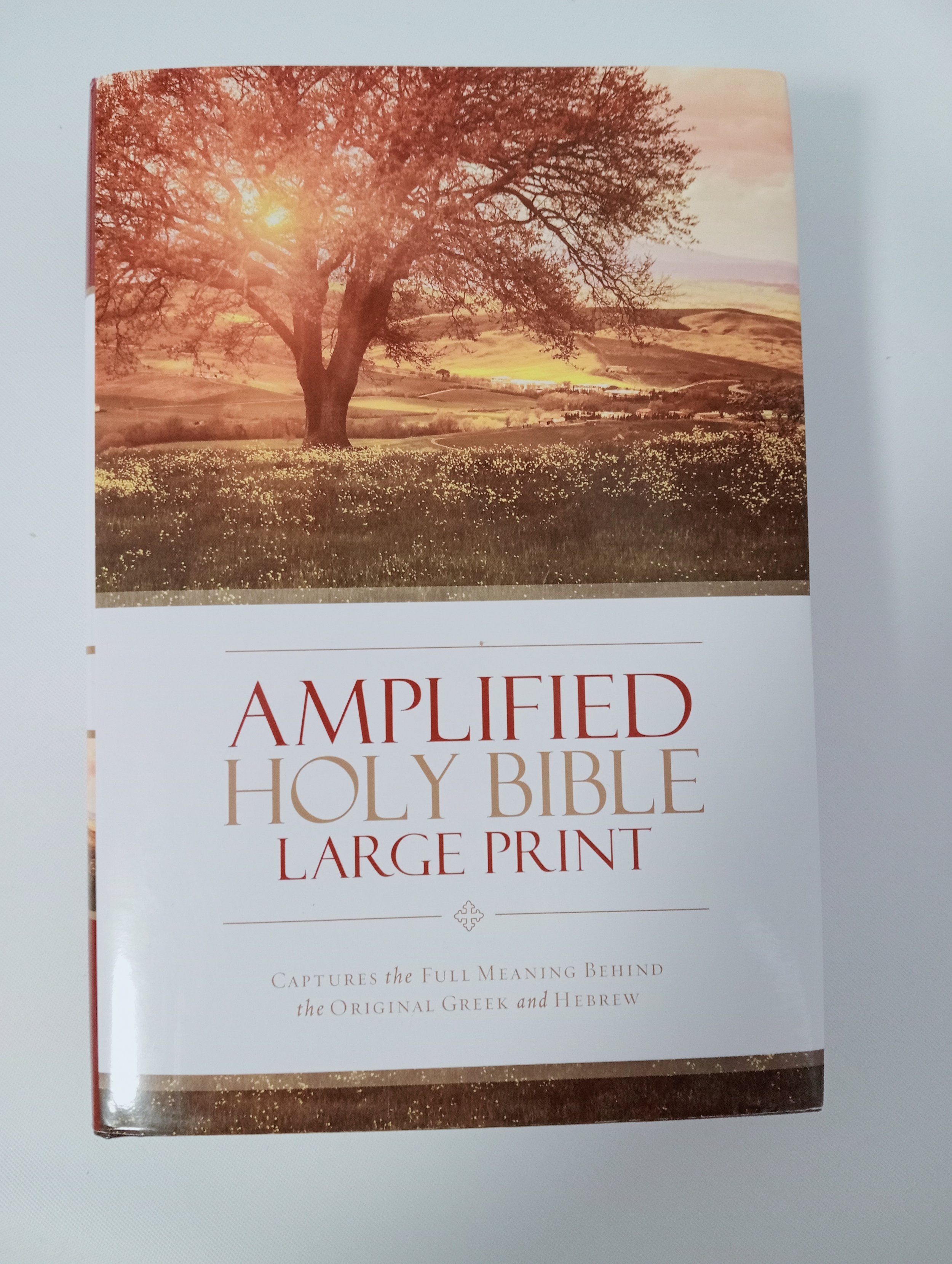 If you are looking for a full and clear explanation of the verses in the bible. Then the Amplified Holy Bible in large 12 Point print is the bible for you.