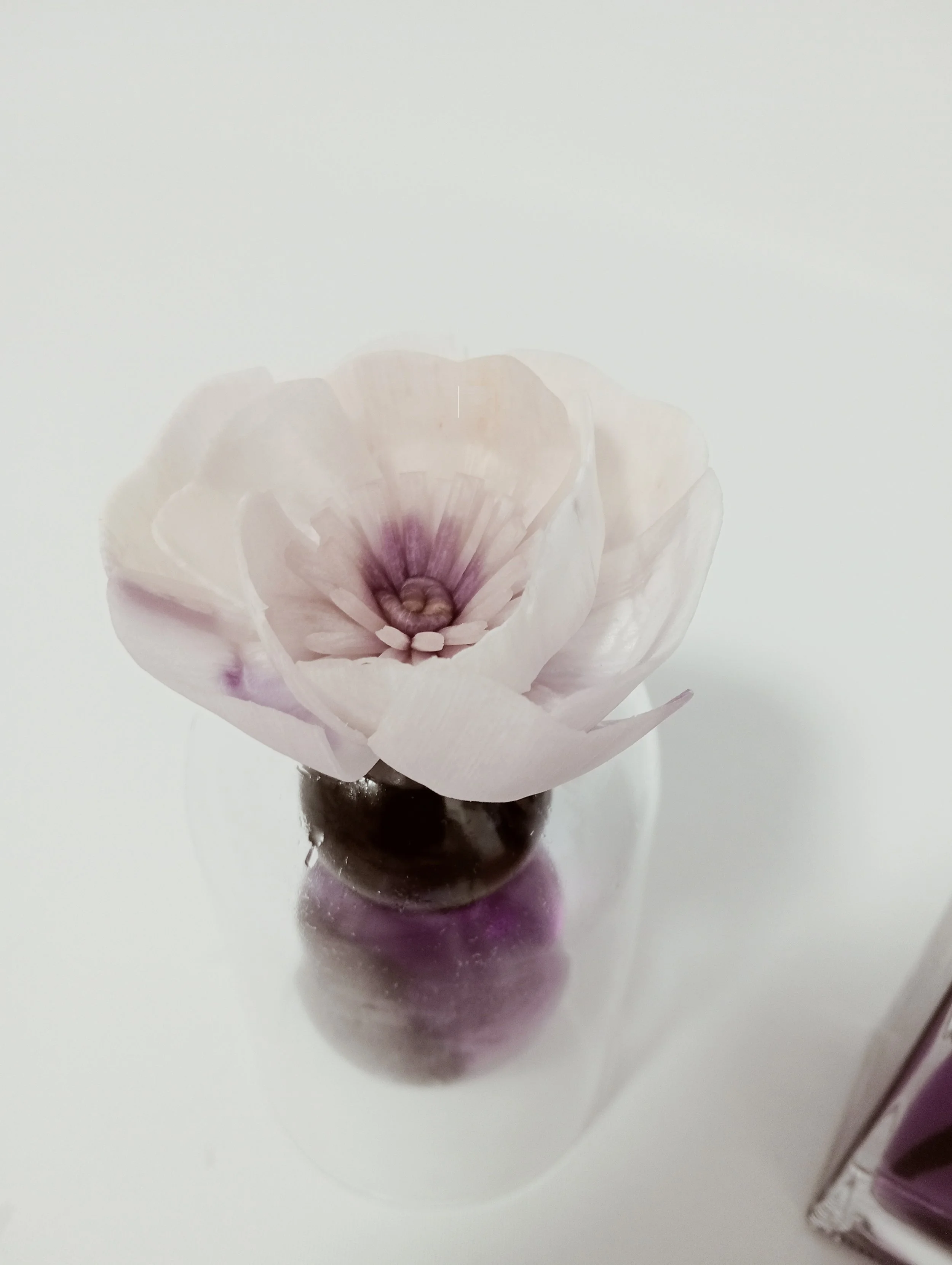 Reed Diffuser - Unique design diffuser vessel with a Blackberry and Fig Fragrance Oil - 100ml available from Country Grace Australia