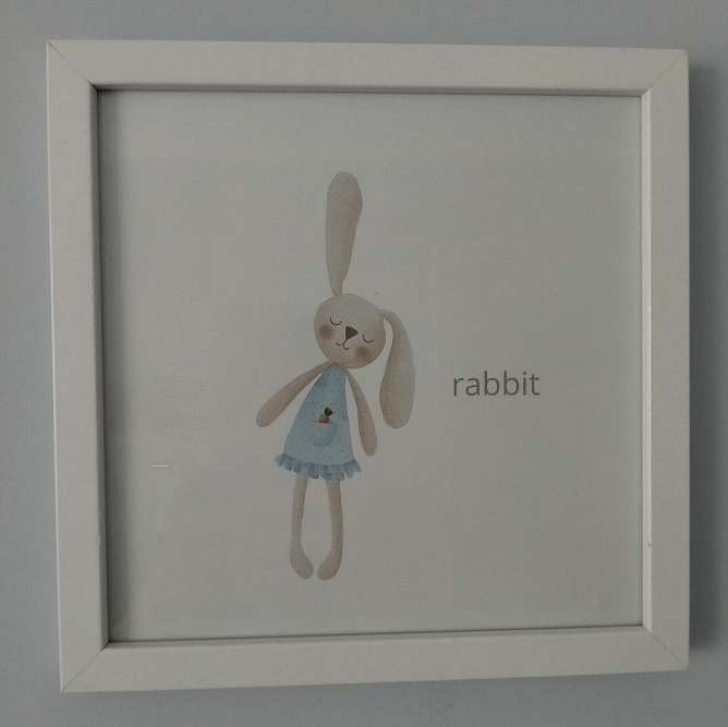 Set of 3 - Rabbit Prints - Vintage Look - White Wooden and Glass Frame - Set of Three