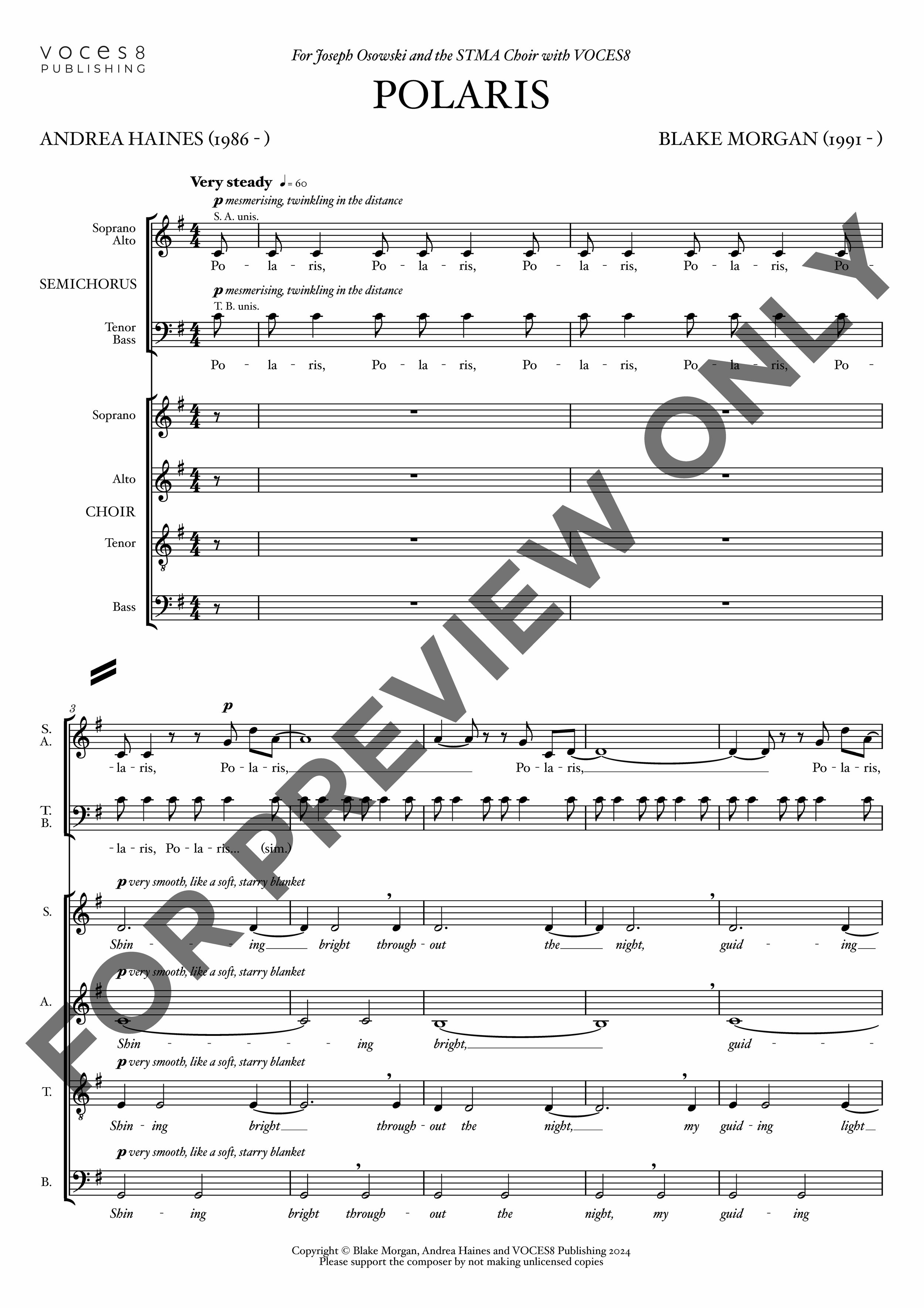 PREVIEW_MORGANPolarisV8P1413_Page_04.jpg