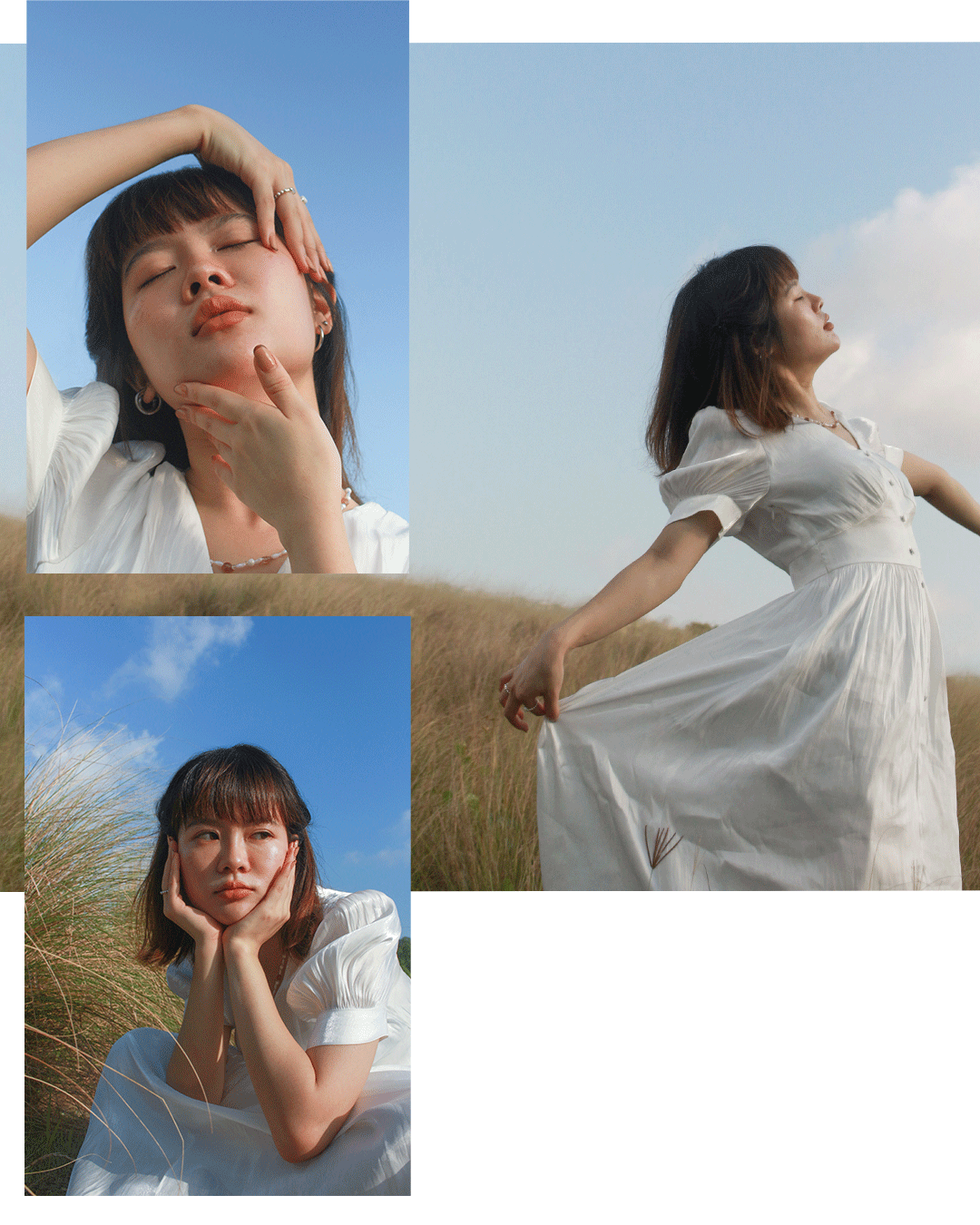 Ig-post-plan_02.gif