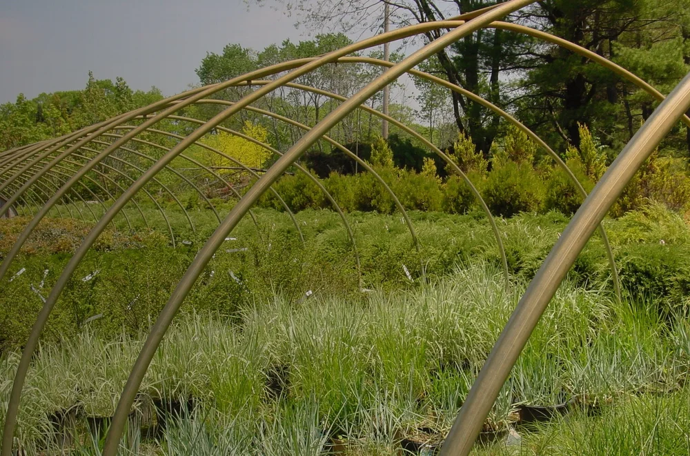 Landscaping Shrewsbury MA Landscape Design Shrewsbury, Westborough