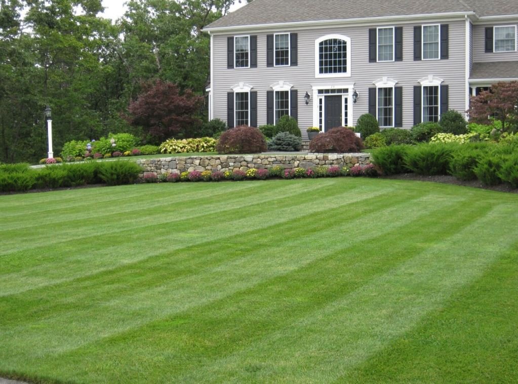 Does Your Landscaping Seem Lacking? Here Are 3 Updates to Consider in the Concord and Hopkinton, MA Areas