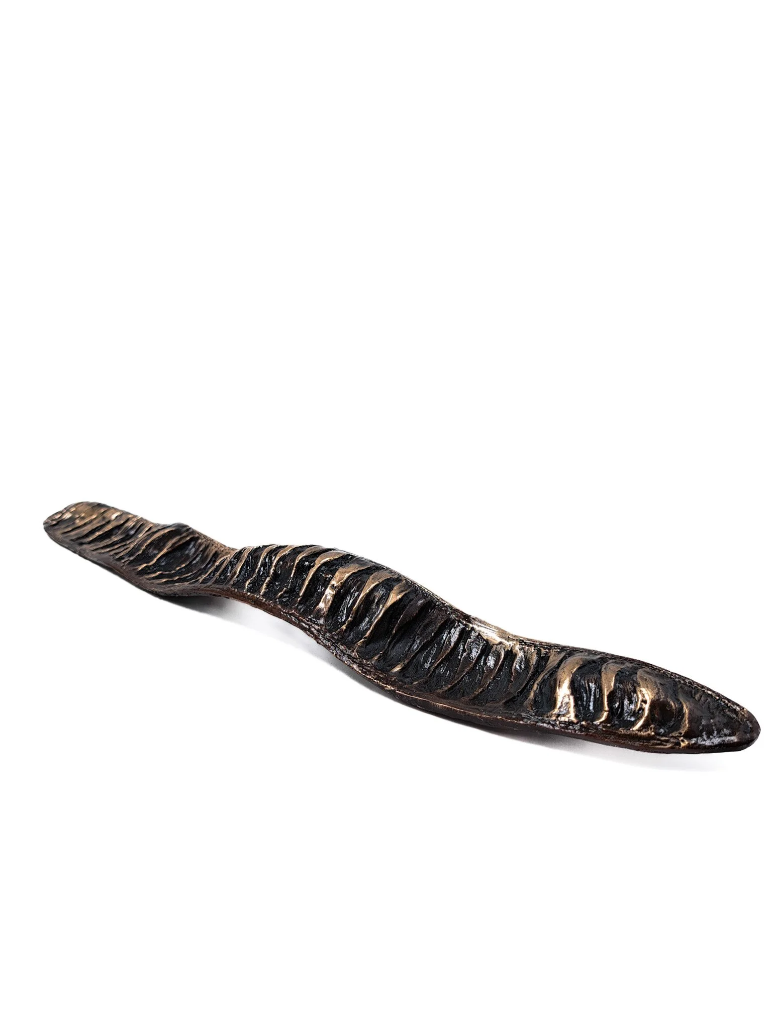 Flamboyant Tree 1.jpg