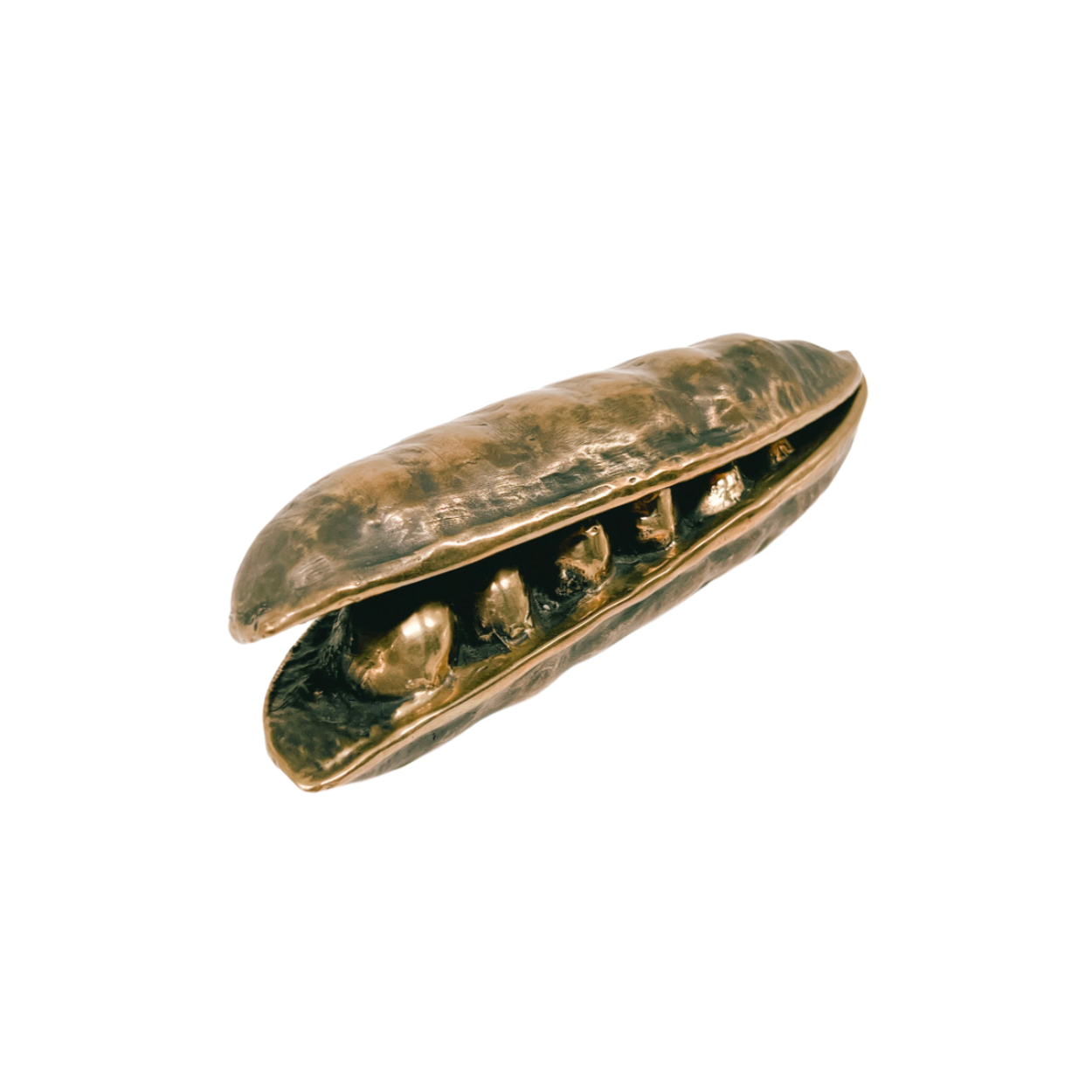 Open Black Bean Seedpod