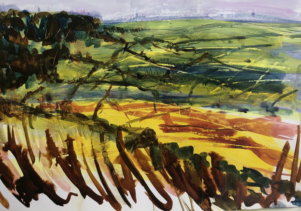 View from Selsley Common II. Mixed media on paper, 35x30cm.jpg