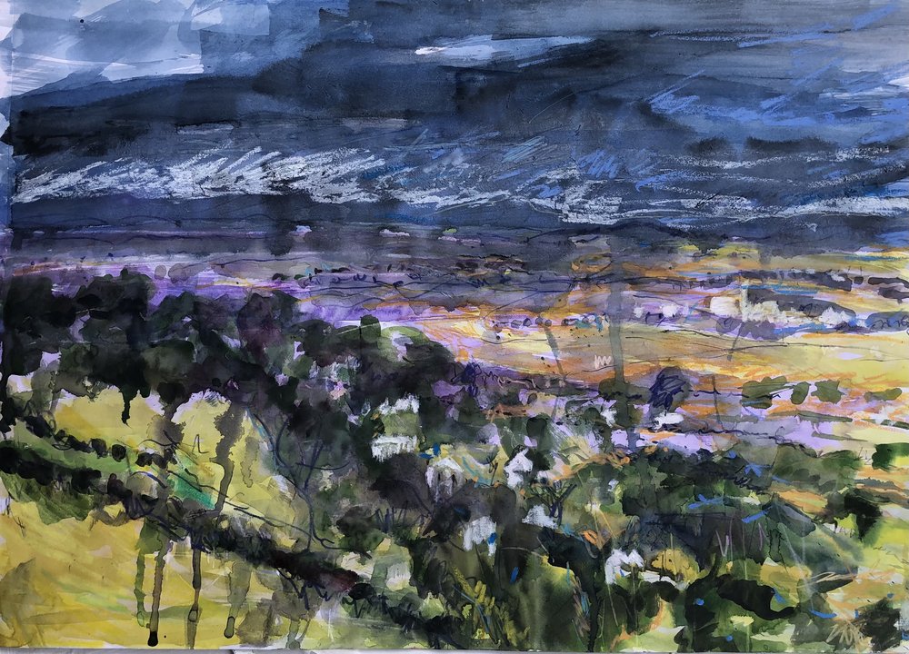 View from Selsley Common I. Mixed media on paper, 35x30cm.jpg