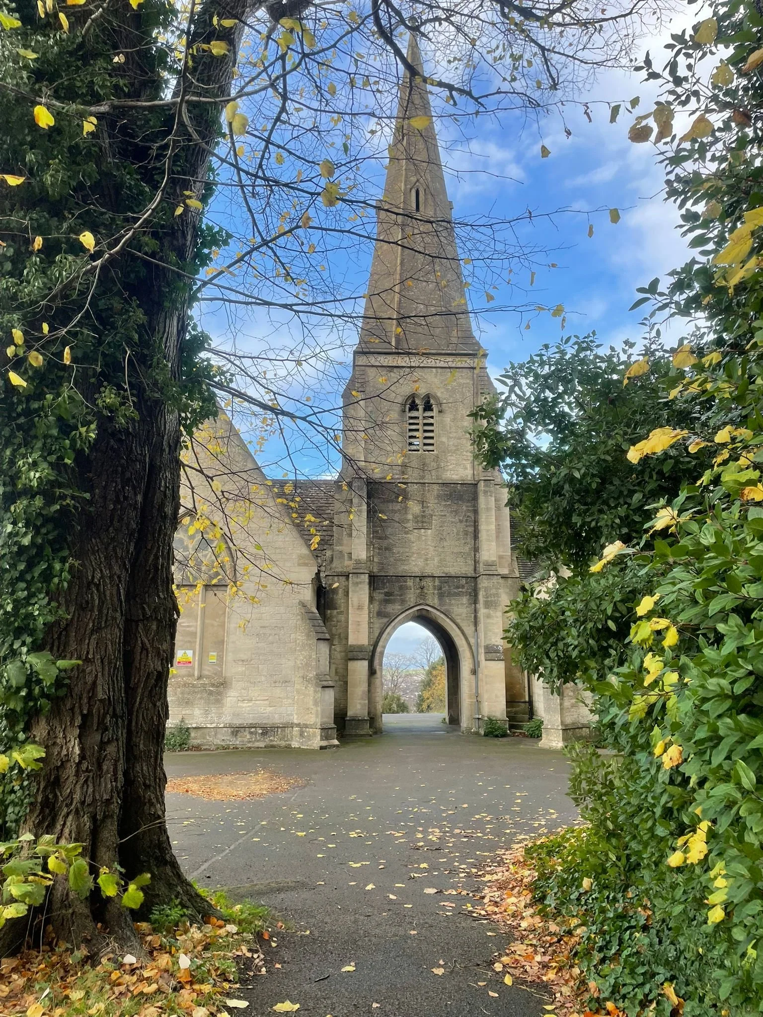 WhatsApp Image 2026-03-17 at 20.13.35.jpeg