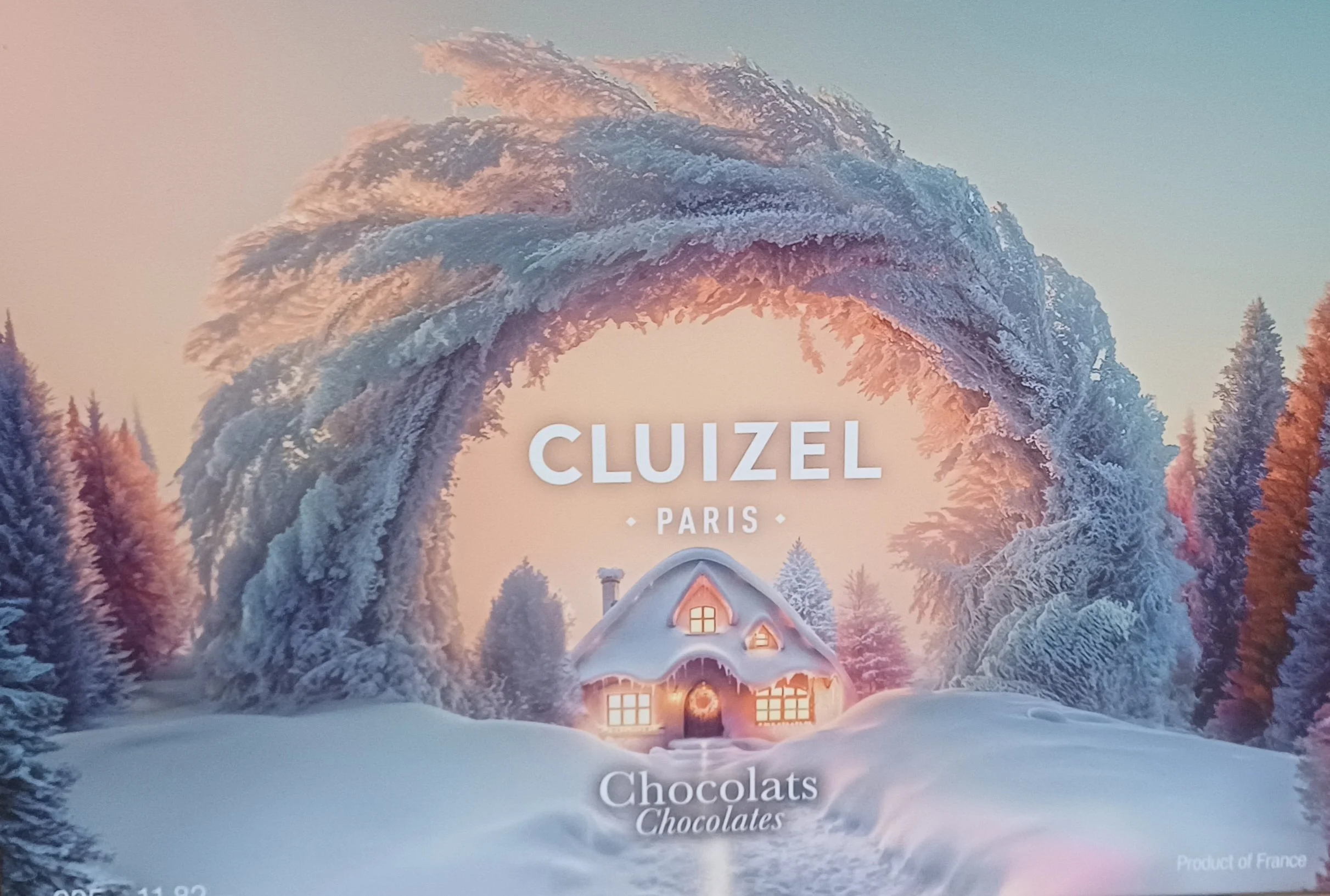 Féerie Hivernale - Cluizel Paris