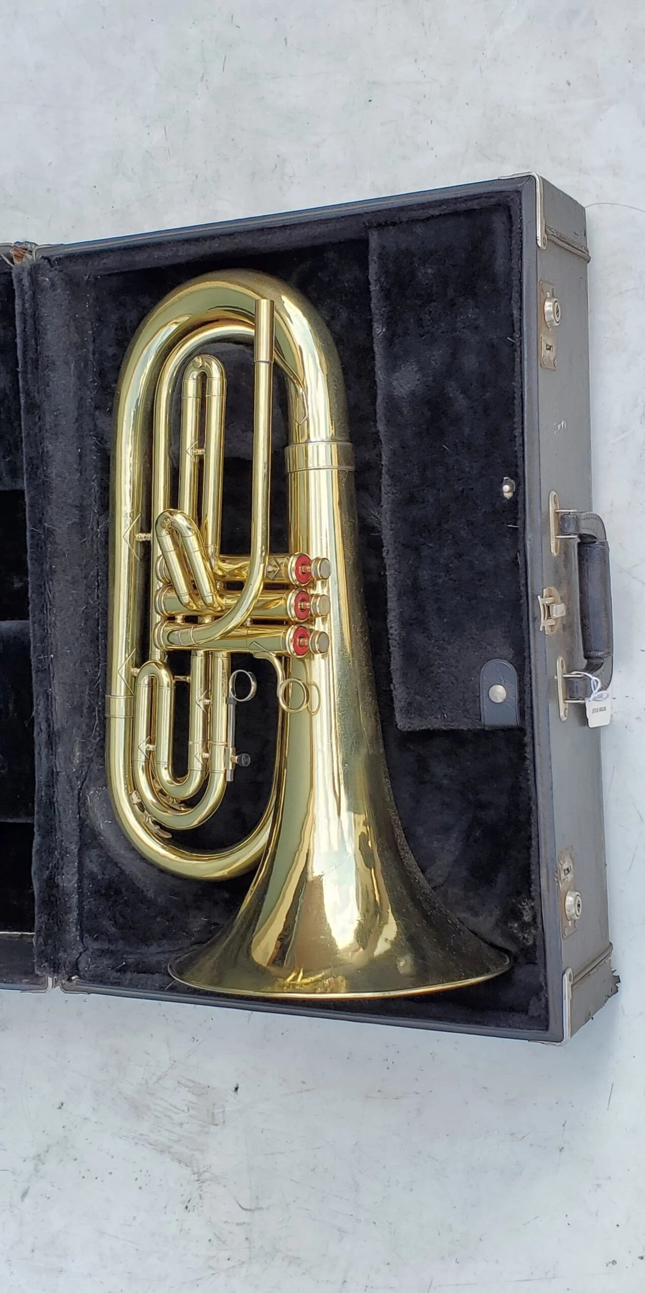 20200903_165136.jpg