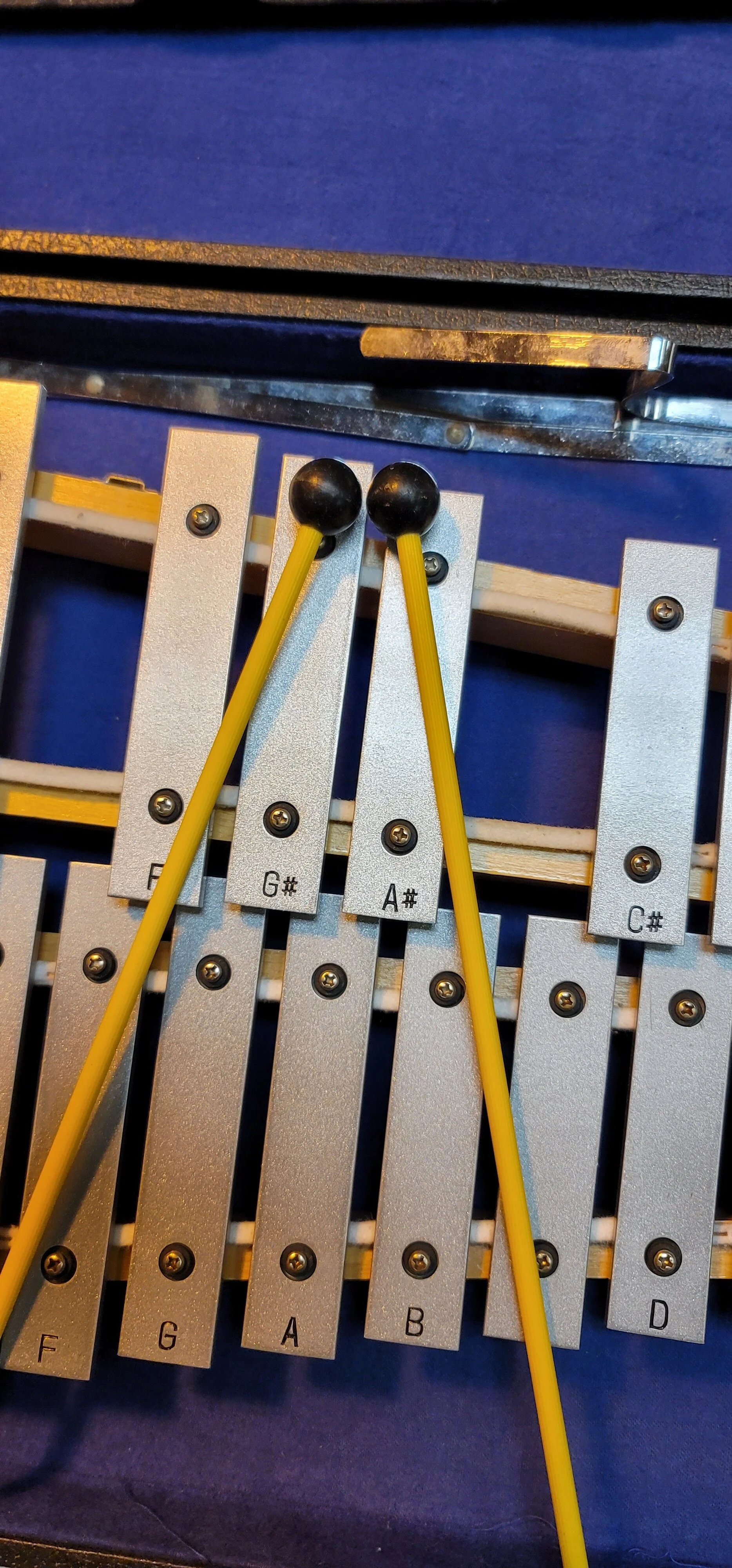 20201201_135952.jpg