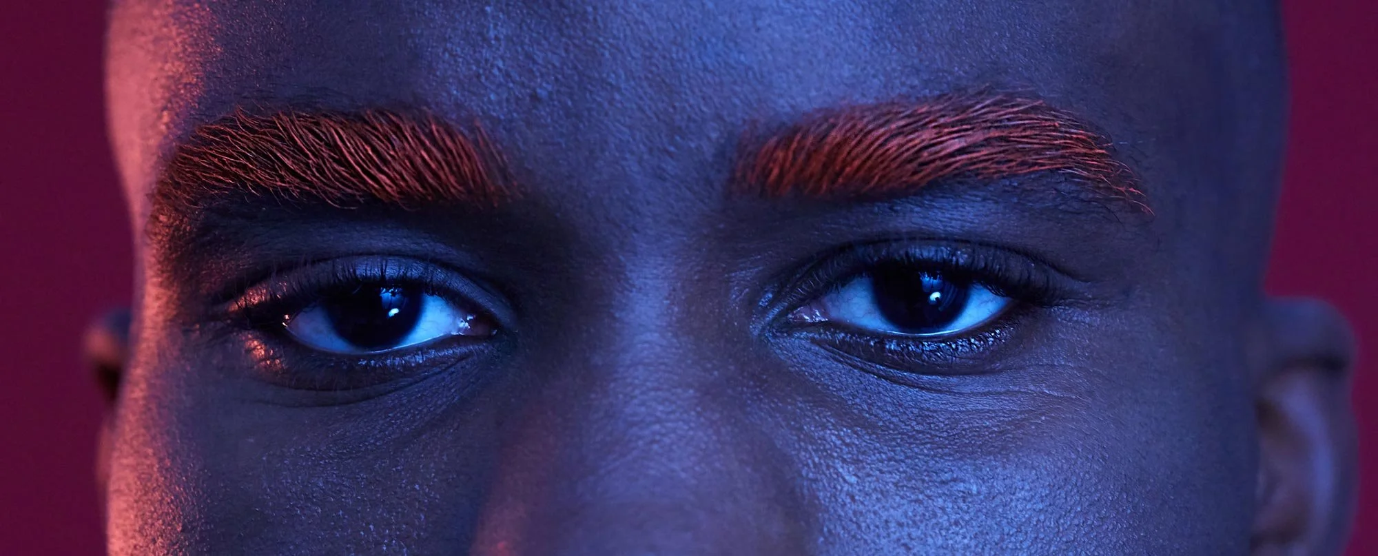 banner.jpg
