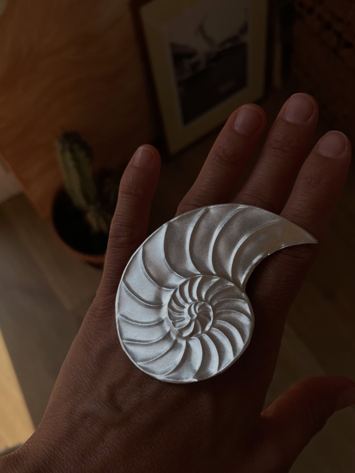 Autour de l&rsquo;&Eacute;quinoxe.

1. M&eacute;decine de la spirale I
2. M&eacute;decine de la spirale II
3. Le soleil &eacute;claire la terre pour ce qu&rsquo;elle est. Peut-&ecirc;tre r&eacute;pond-il &agrave; son c&oelig;ur.
4. G&eacute;om&eacute