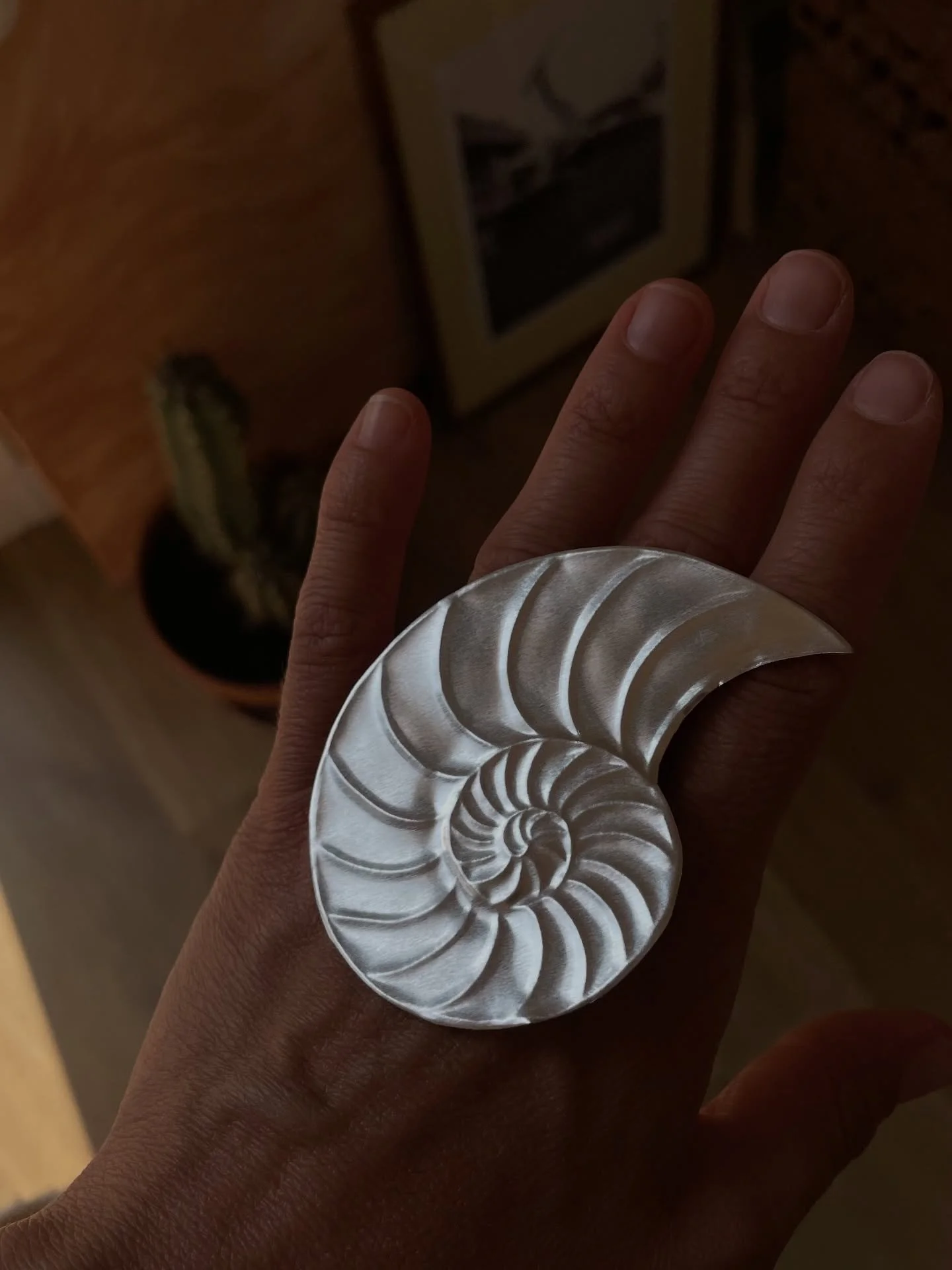 Autour de l&rsquo;&Eacute;quinoxe.

1. M&eacute;decine de la spirale I
2. M&eacute;decine de la spirale II
3. Le soleil &eacute;claire la terre pour ce qu&rsquo;elle est. Peut-&ecirc;tre r&eacute;pond-il &agrave; son c&oelig;ur.
4. G&eacute;om&eacute