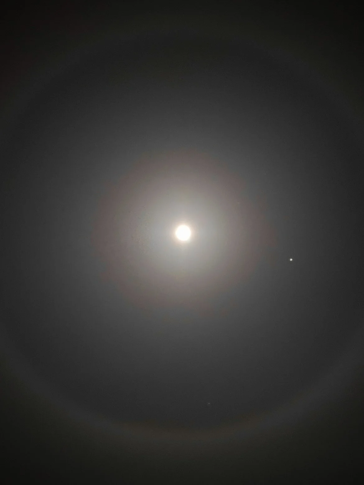 Unleash.
Se retirer du cercle pour revenir au centre.

1. Derni&egrave;re lune pleine de l&rsquo;ann&eacute;e lunaire.
2. Derniers talismans de l&rsquo;hiver.
3. Celles qui continuent de fleurir tandis que l&rsquo;on parle des chaos et des impossible