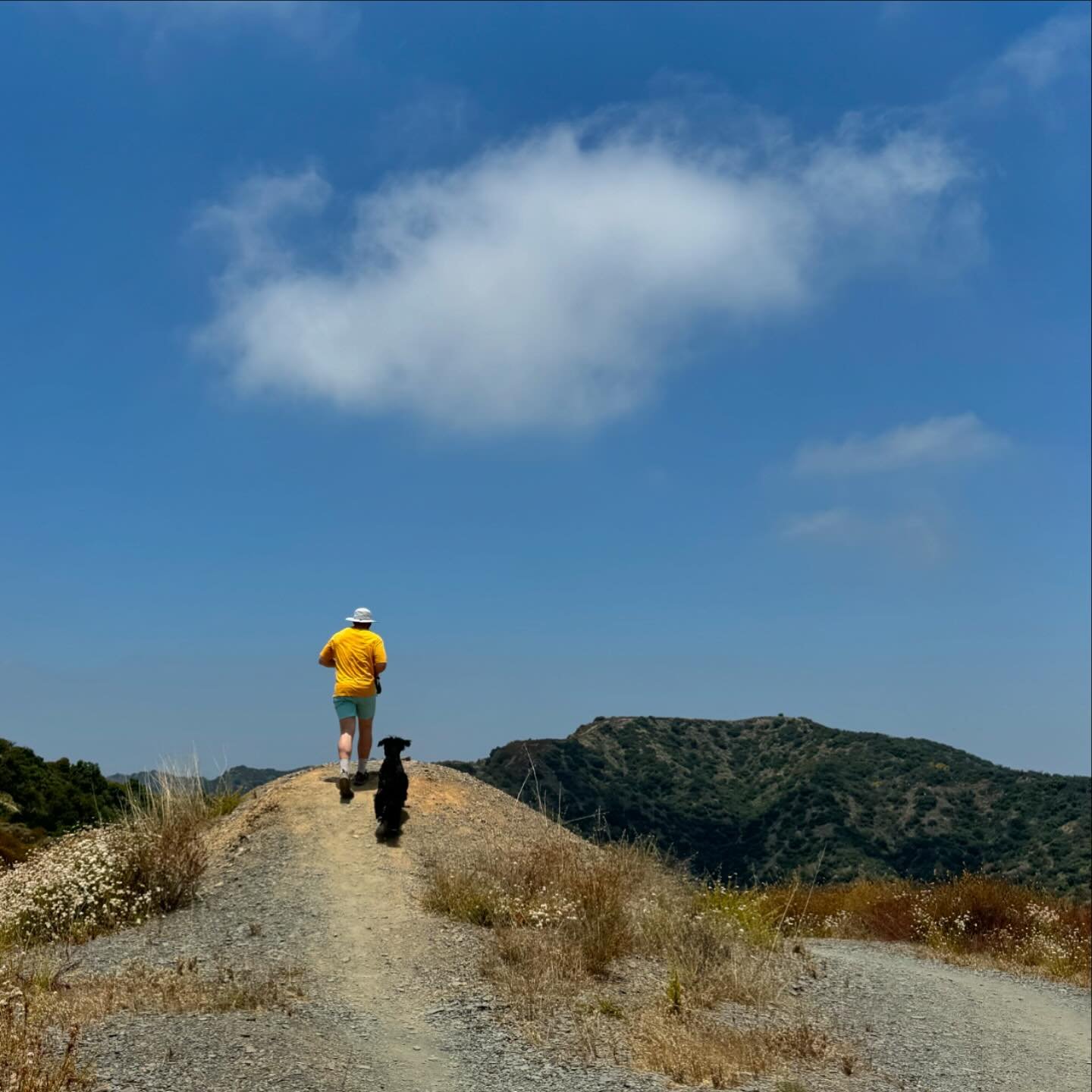 ☀️ S U M M E R ☀️

So many special weddings (and more to come), getting toasty golden on Westside hikes, celebrating our 2nd wedding anniversary, experiencing my fashun renaissance and obsessing over a watch ring that I have almost lost 5 times, fail